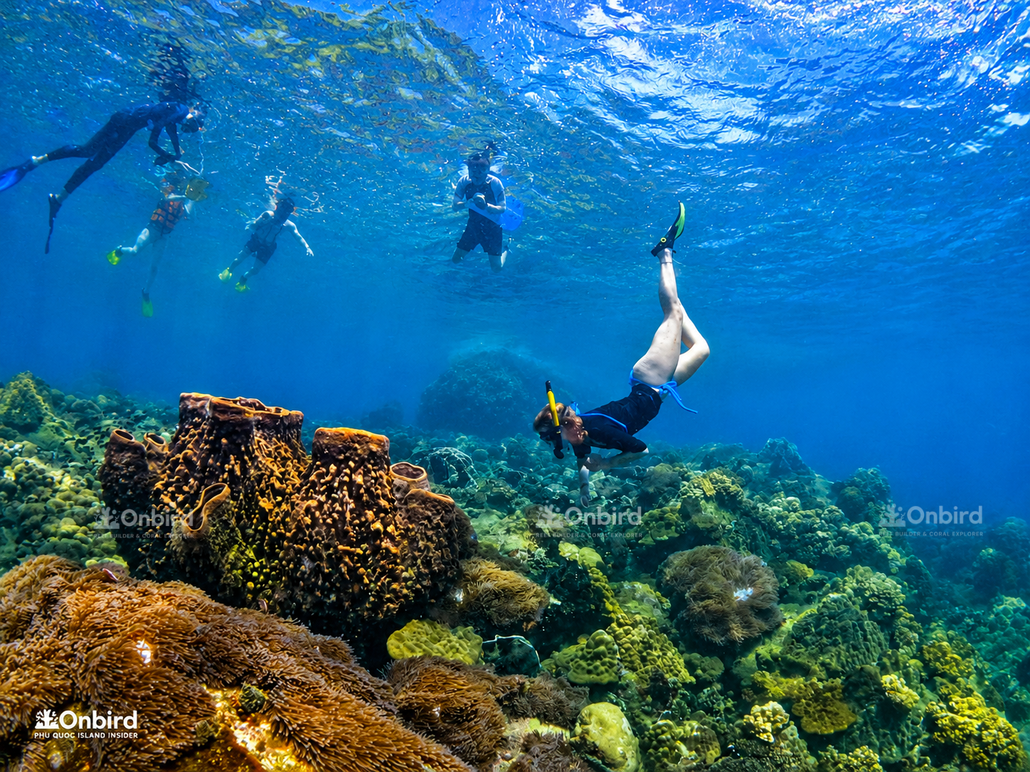 Small-Group Snorkeling Safari by Speedboat
