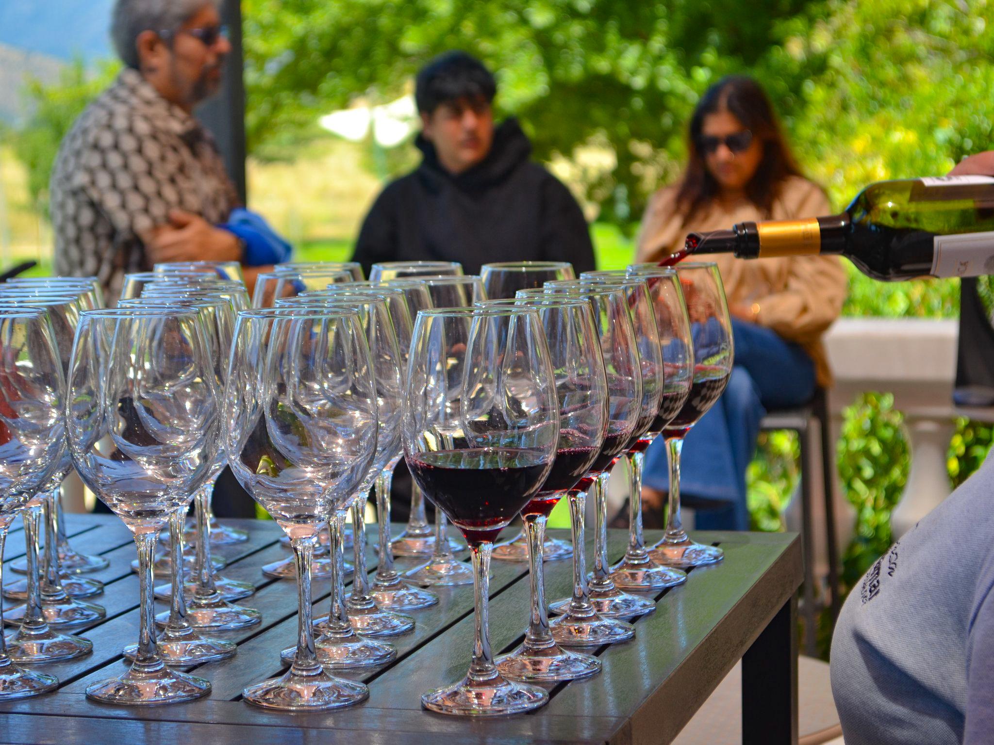 Valparaíso wine tour, the Casablanca Valley and Valparaíso's hills — image 85