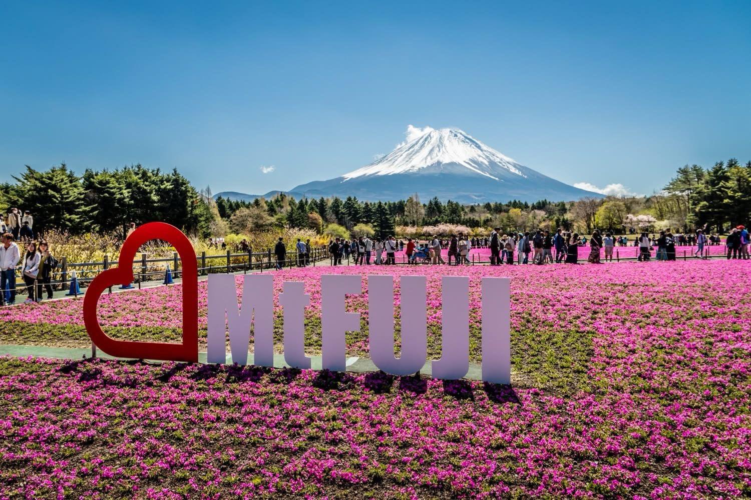 Tokyo to Mt. Fuji Private Luxury Day Tour with Hotel Pickup
