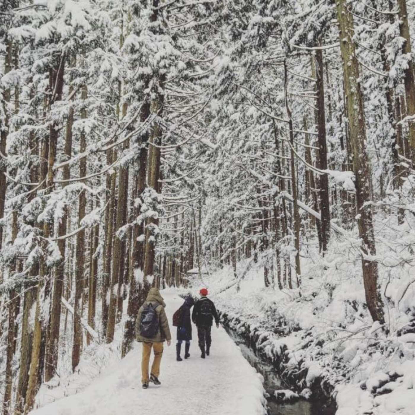 Nagano Private Day Tour: Snow Monkeys, Zenkoji Temple & More