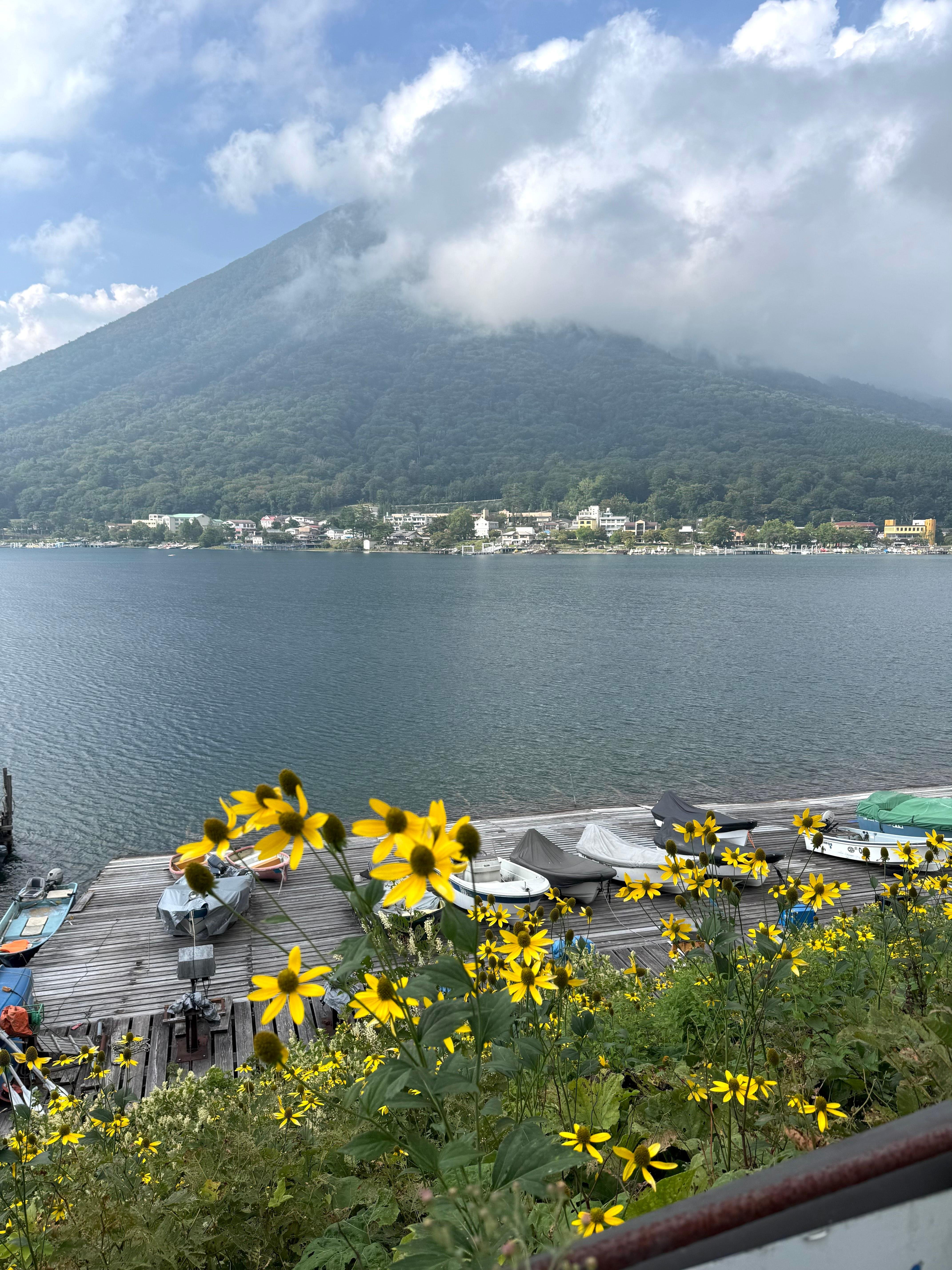 Nikko Private Full-Day Tour from Tokyo