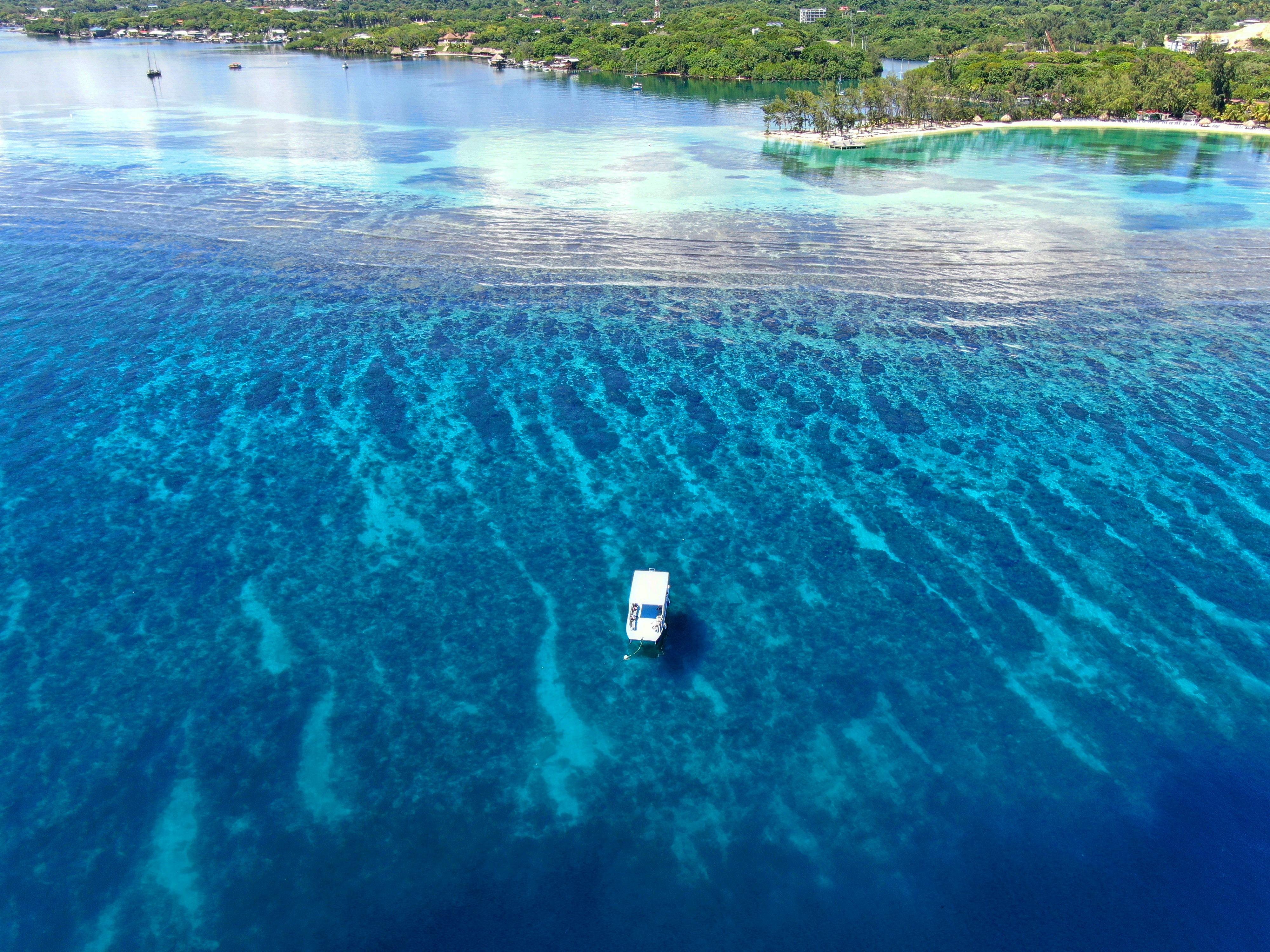 Roatán Three-Reef Snorkeling & Beach Day