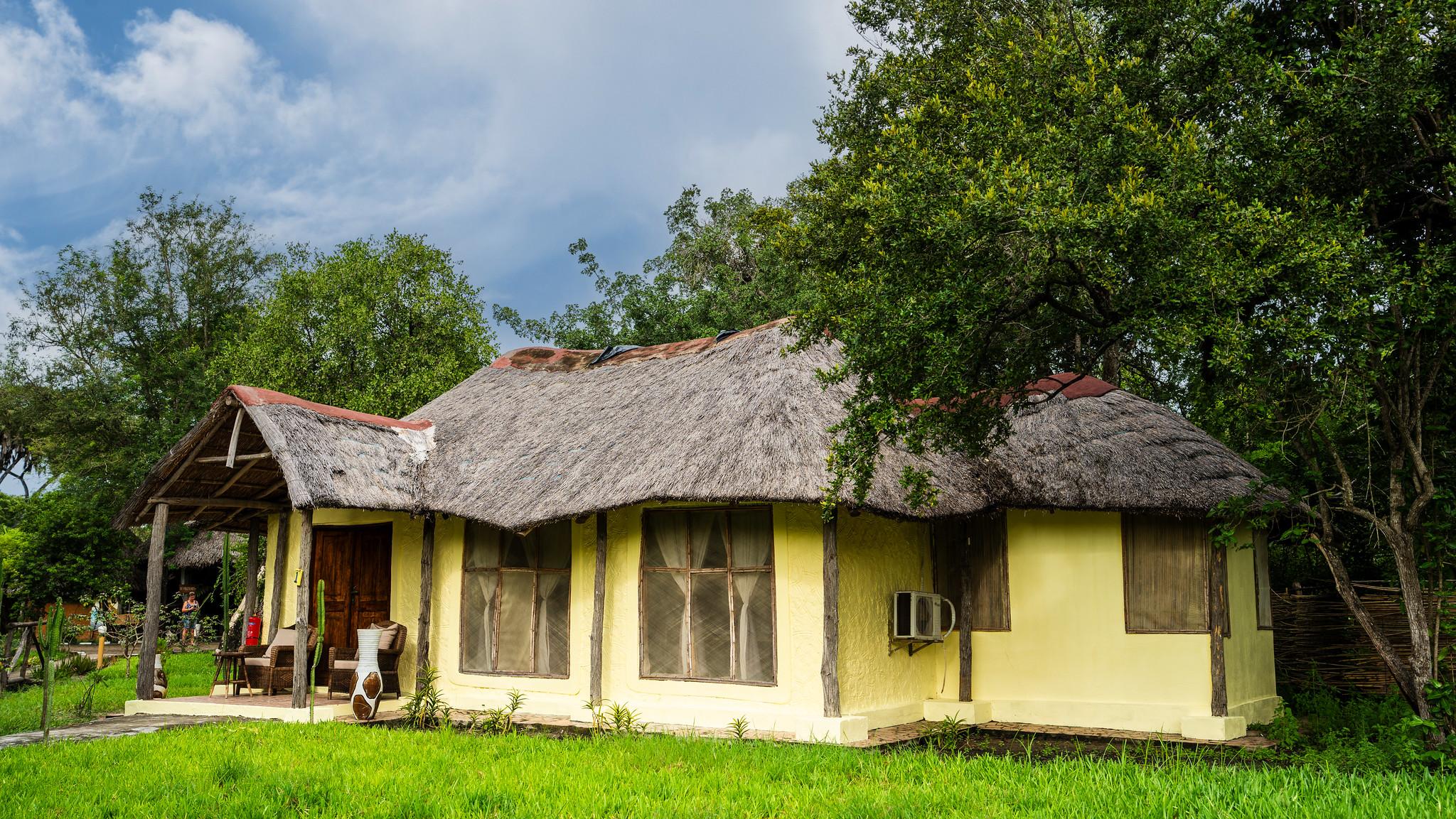 Zanzibar to Selous: 2-Day Safari with Flights & Bush Lunch