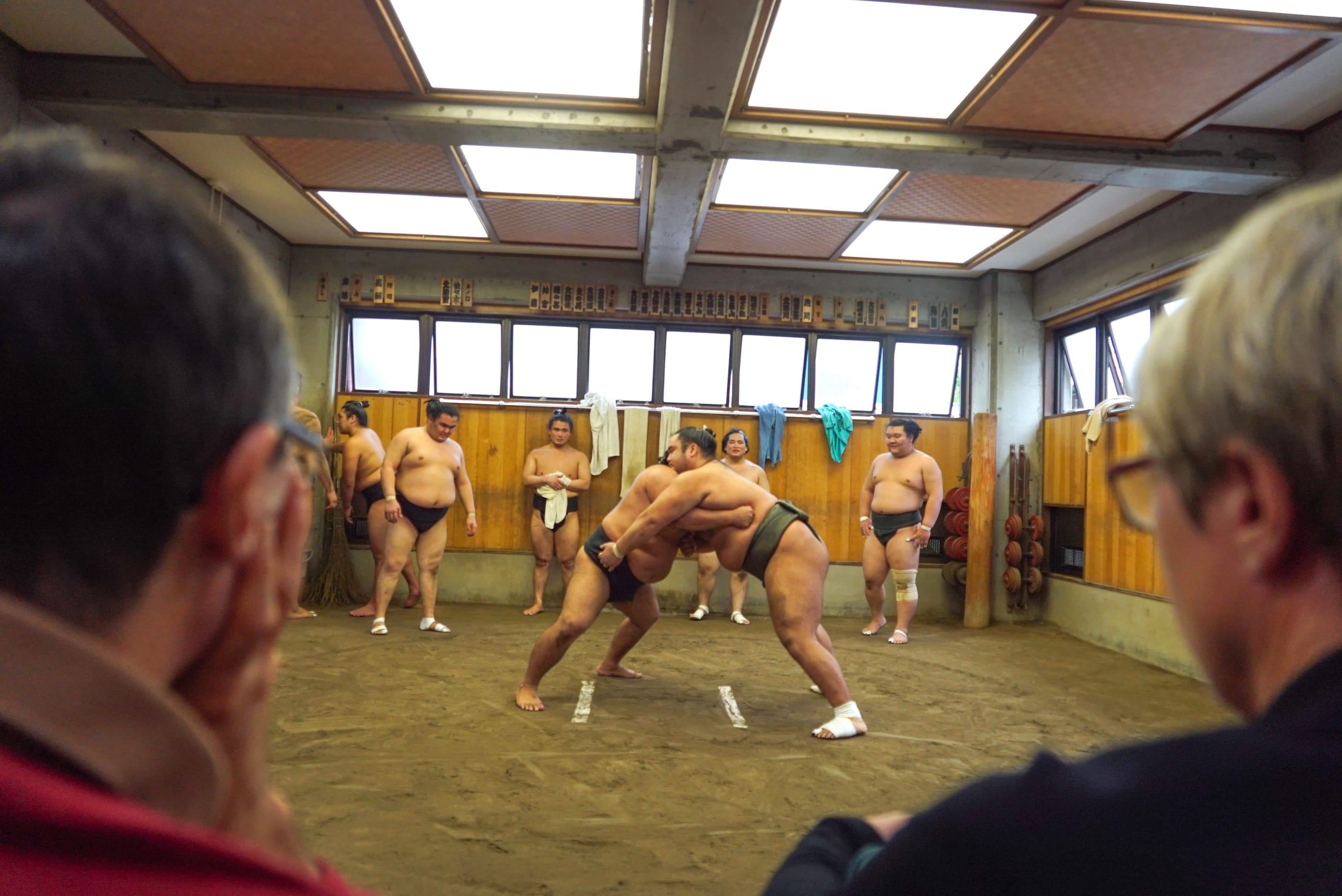 Sumo Stable Morning Practice & Photo Experience in Ryogoku