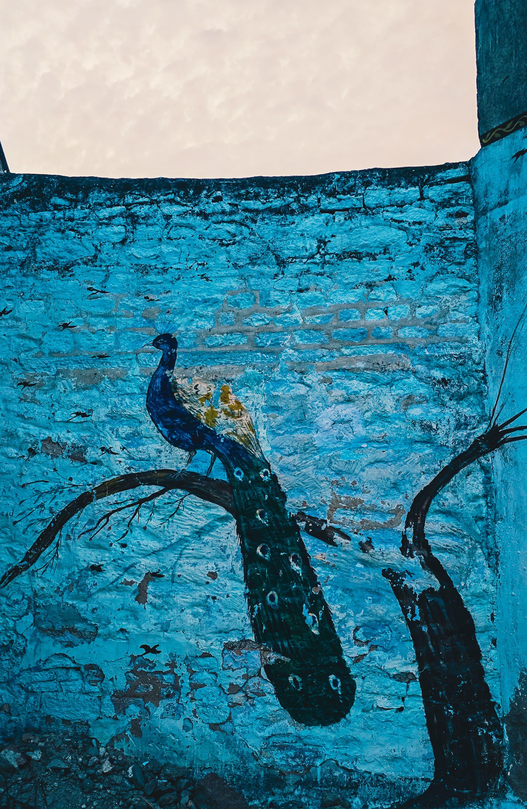 Jodhpur Blue City Heritage Walking Tour