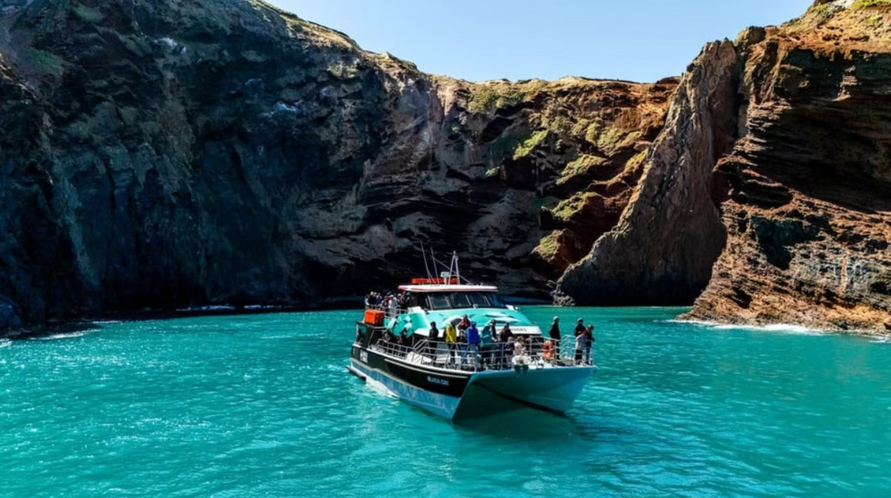 Akaroa Day Tour from Christchurch with Harbour Nature Cruise