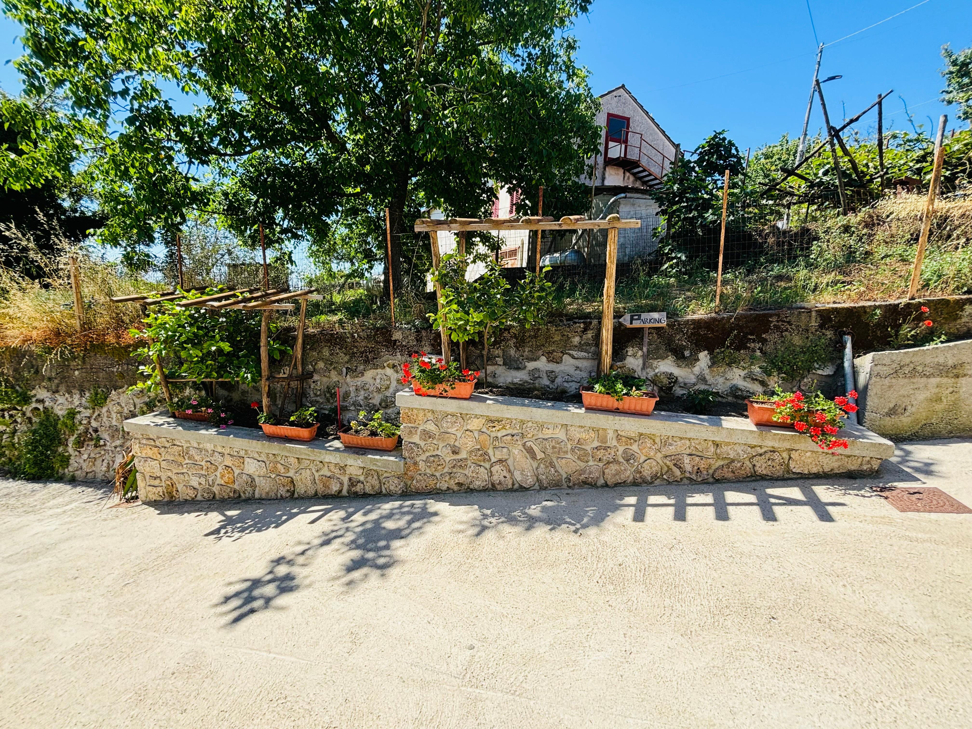 Amalfi Coast Farm Cooking Class: Mozzarella, Tagliatelle & Tiramisù