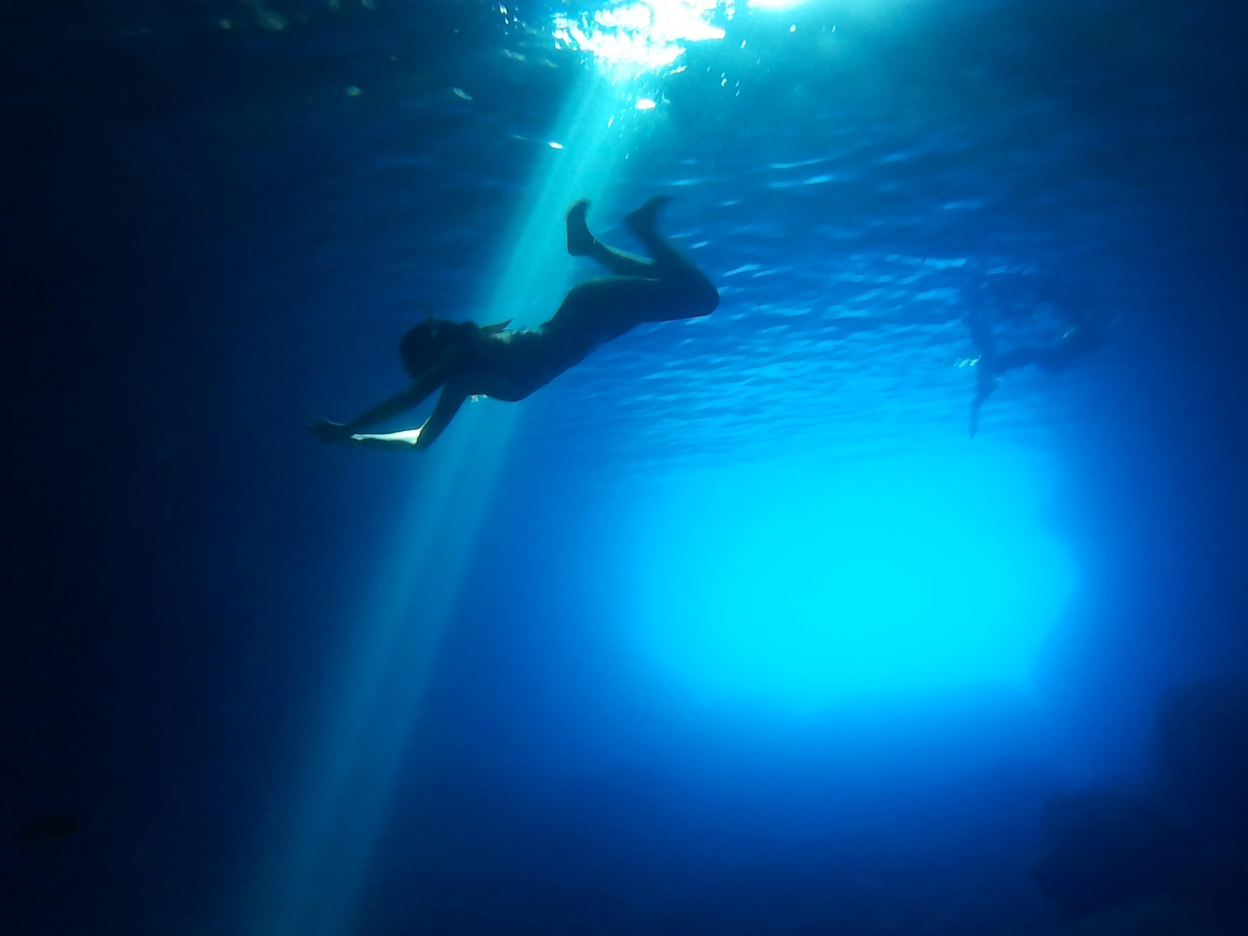 From Vis: Speedboat tour - Vis, Biševo & Blue Cave (shared) - 2026 (Verified Reviews)