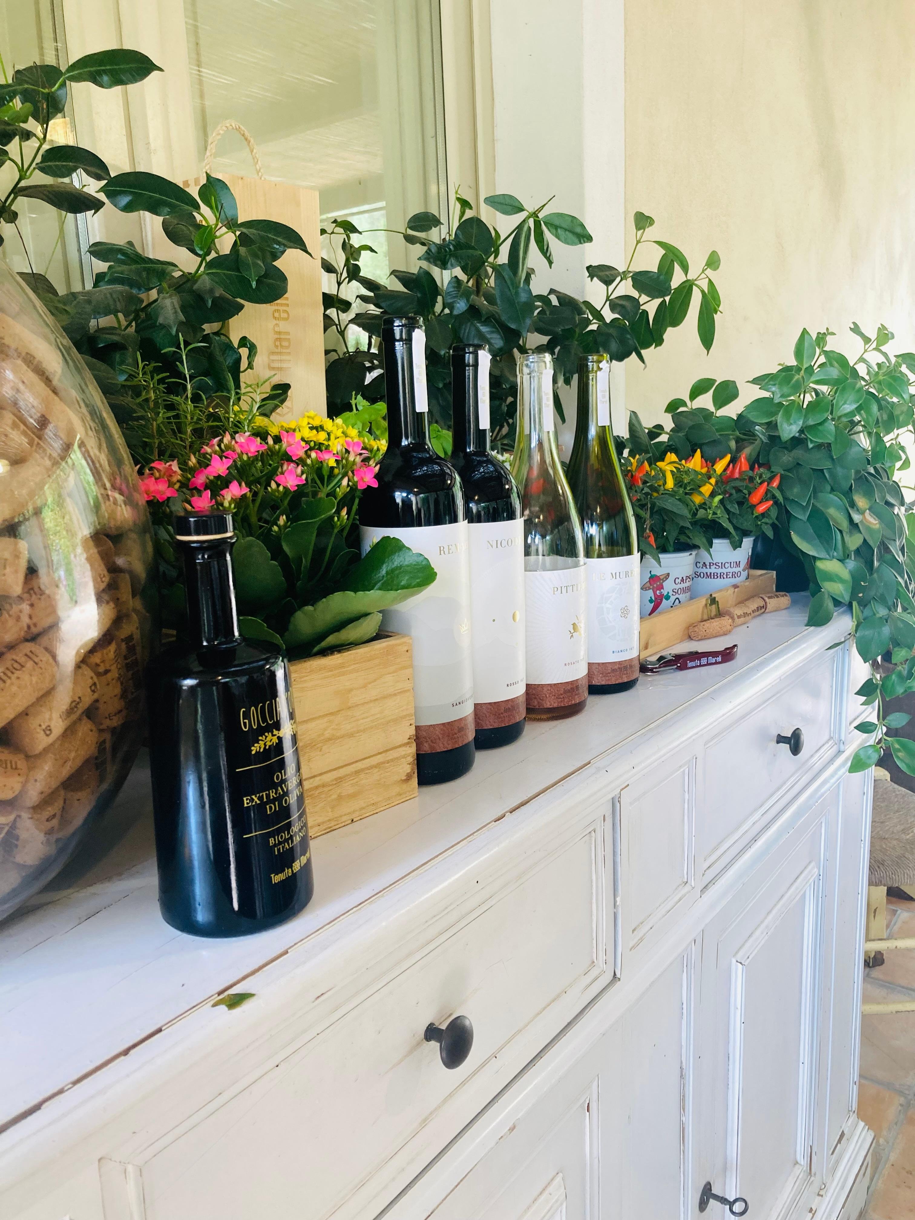 Organic Wine & Honey Tasting at Tenuta Mareli Vineyard
