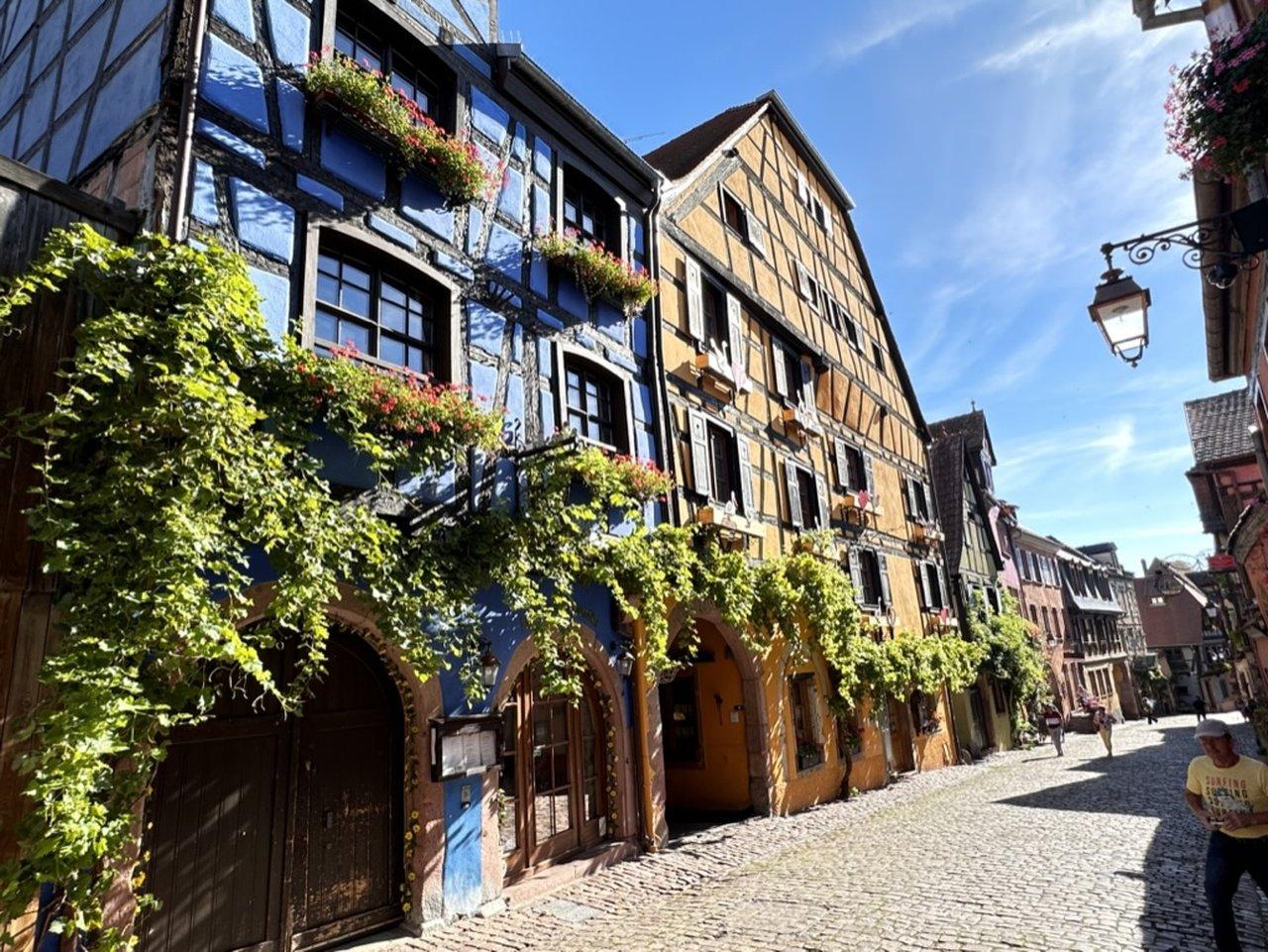 Private Alsace Wine Villages Tour from Colmar