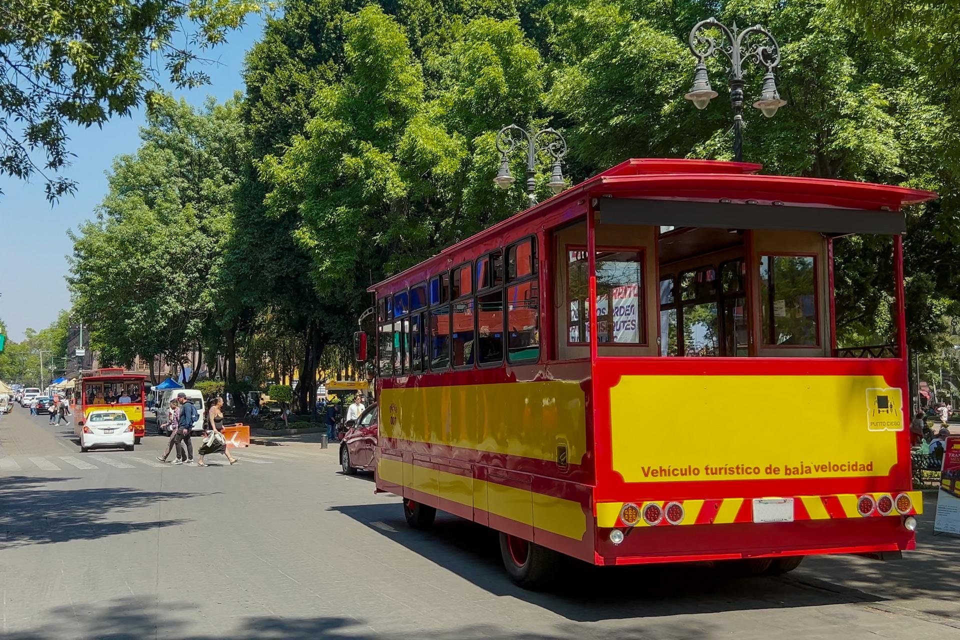 Private Mexico City: Coyoacán, Frida Kahlo & Xochimilco Tour