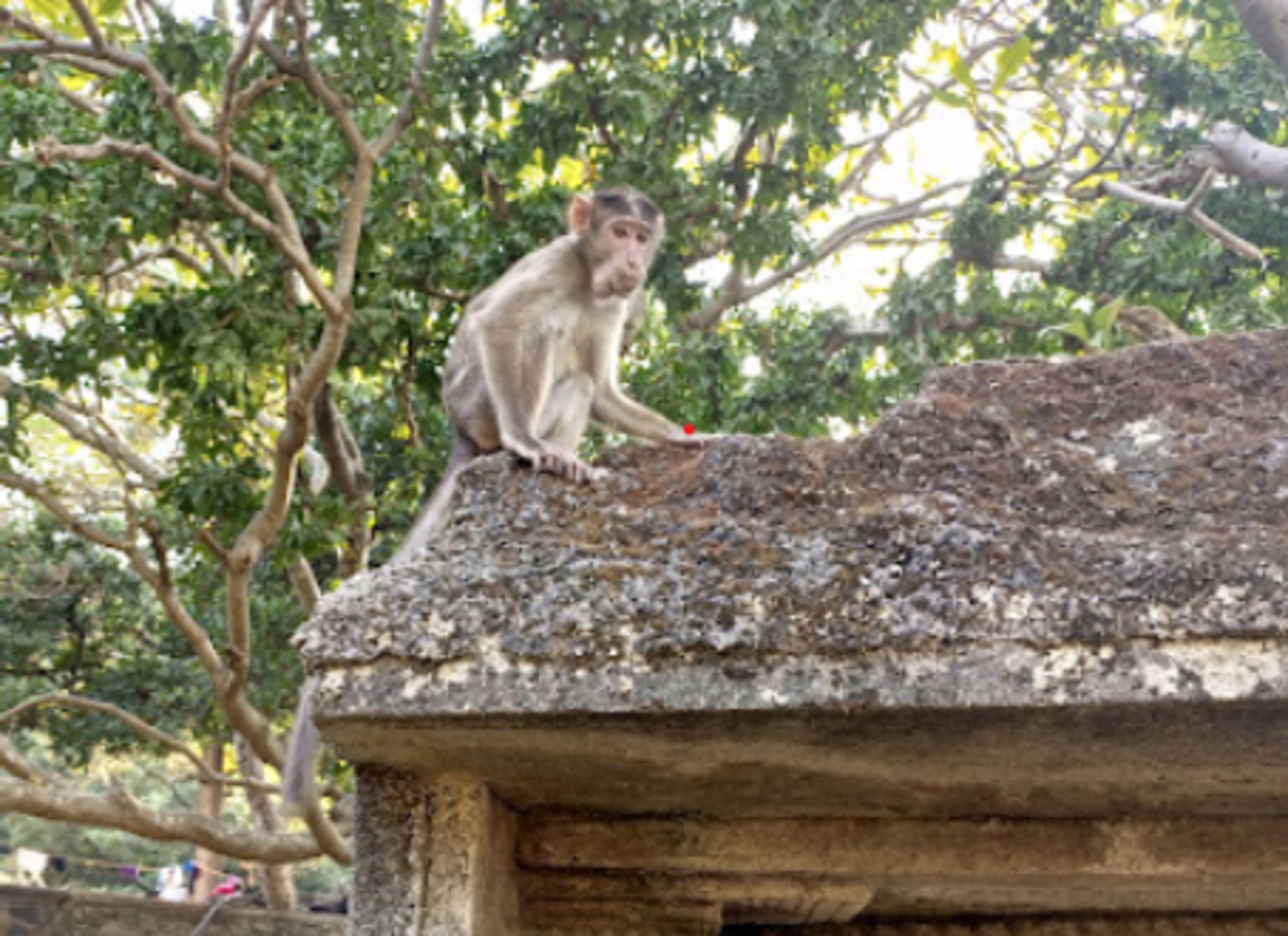 Mumbai: Half-Day Elephanta Caves Excursion & Ferry Trip