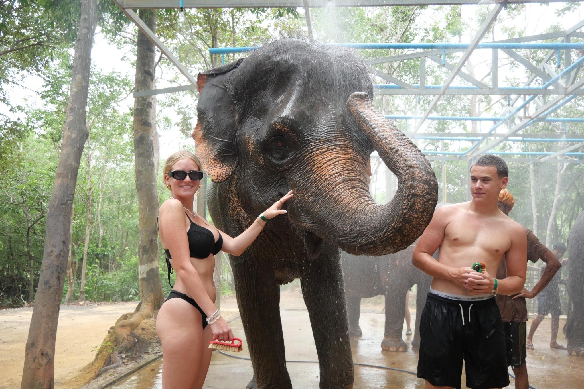 Krabi Elephant Shelter: Bathing & Feeding Experience