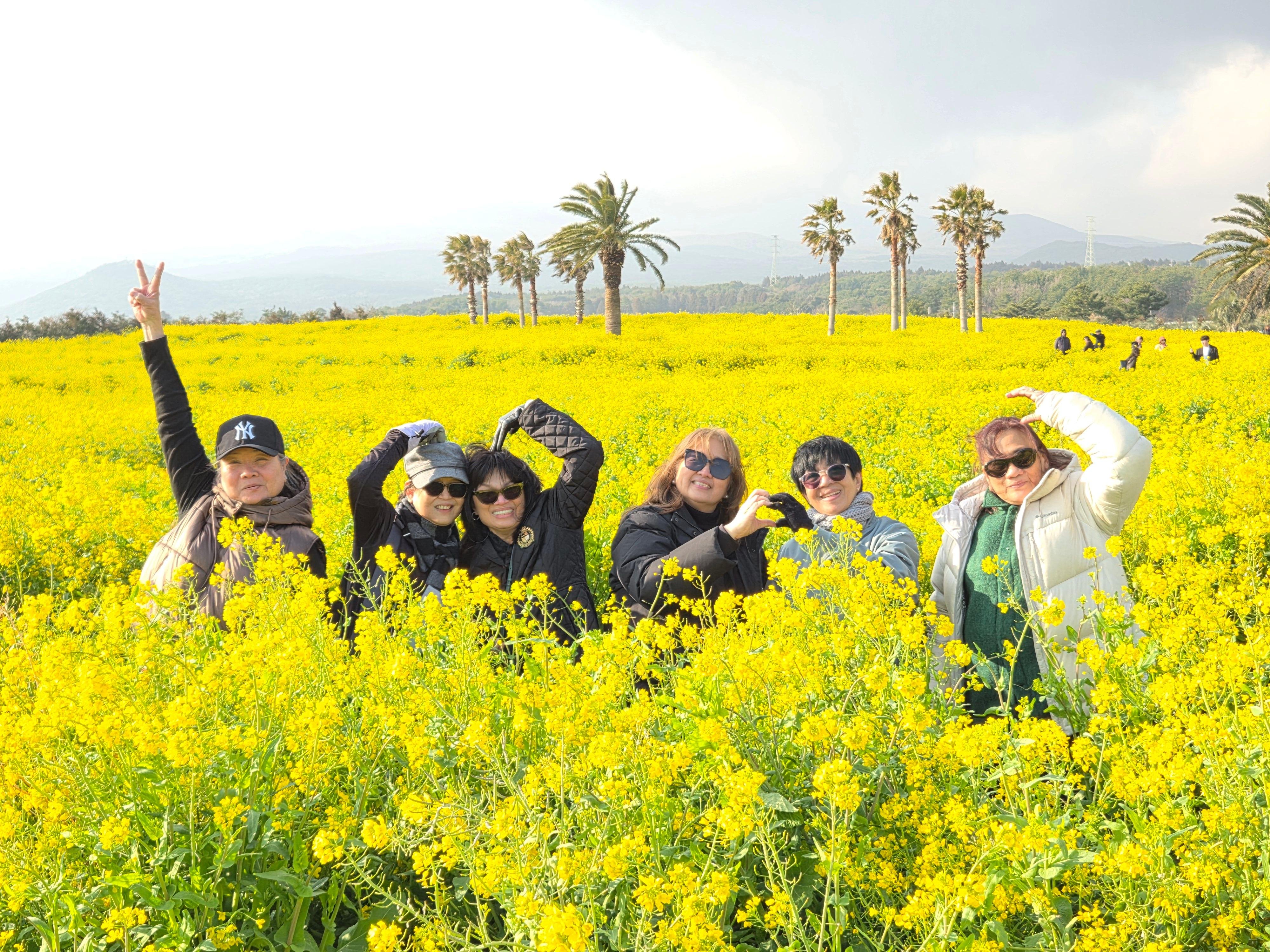 Jeju private taxi tour — image 1