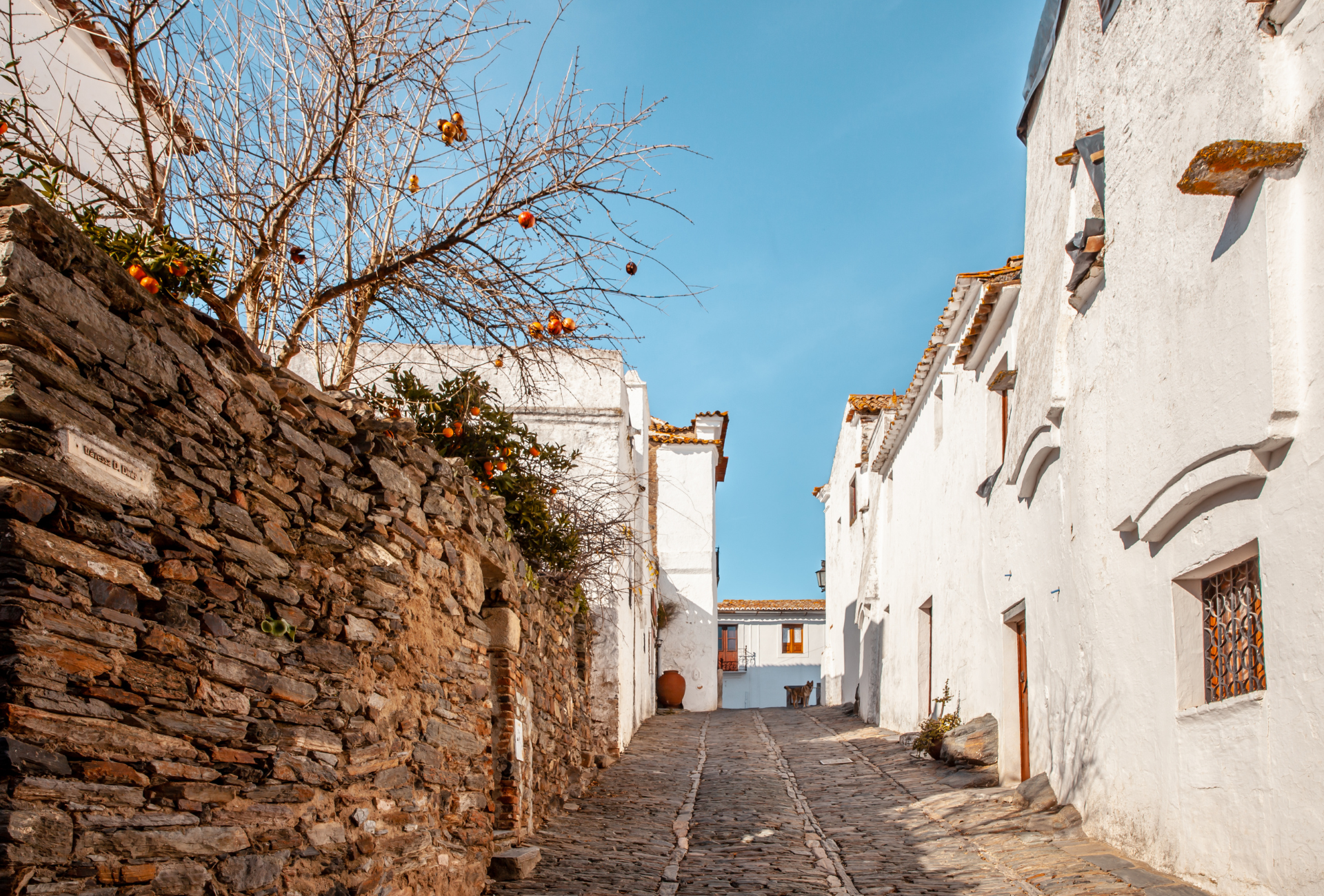 food tour in Évora — photo 17
