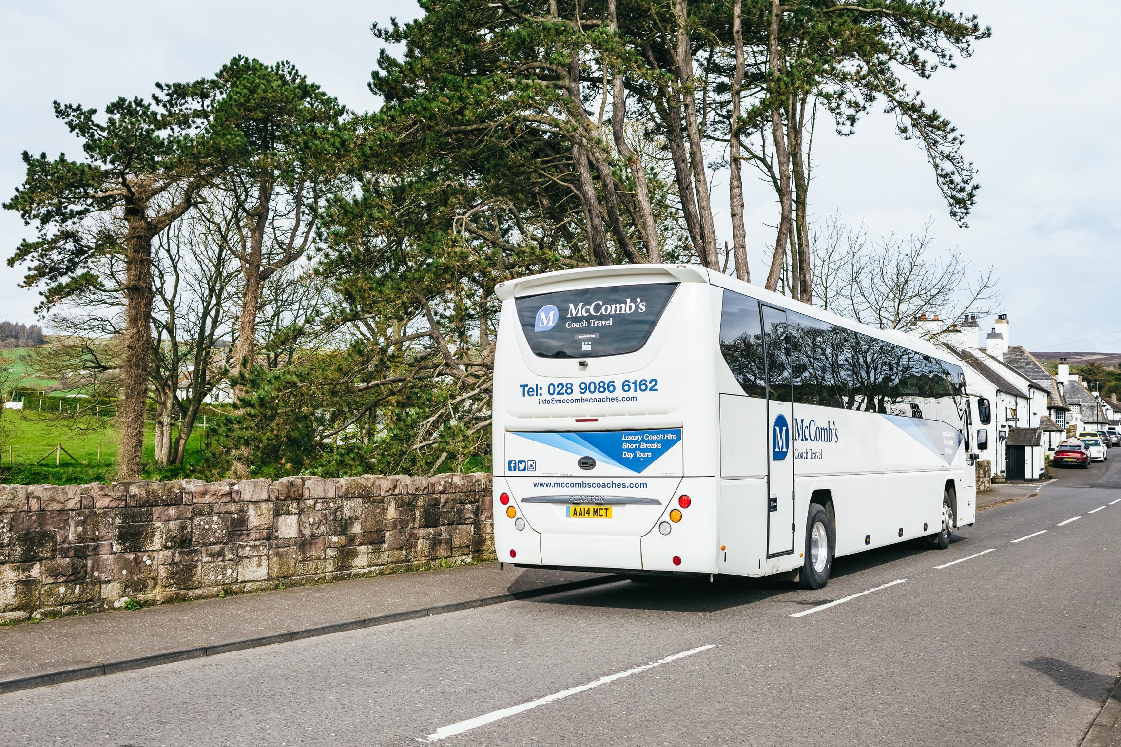 Giant's Causeway Tour from Belfast — image 17