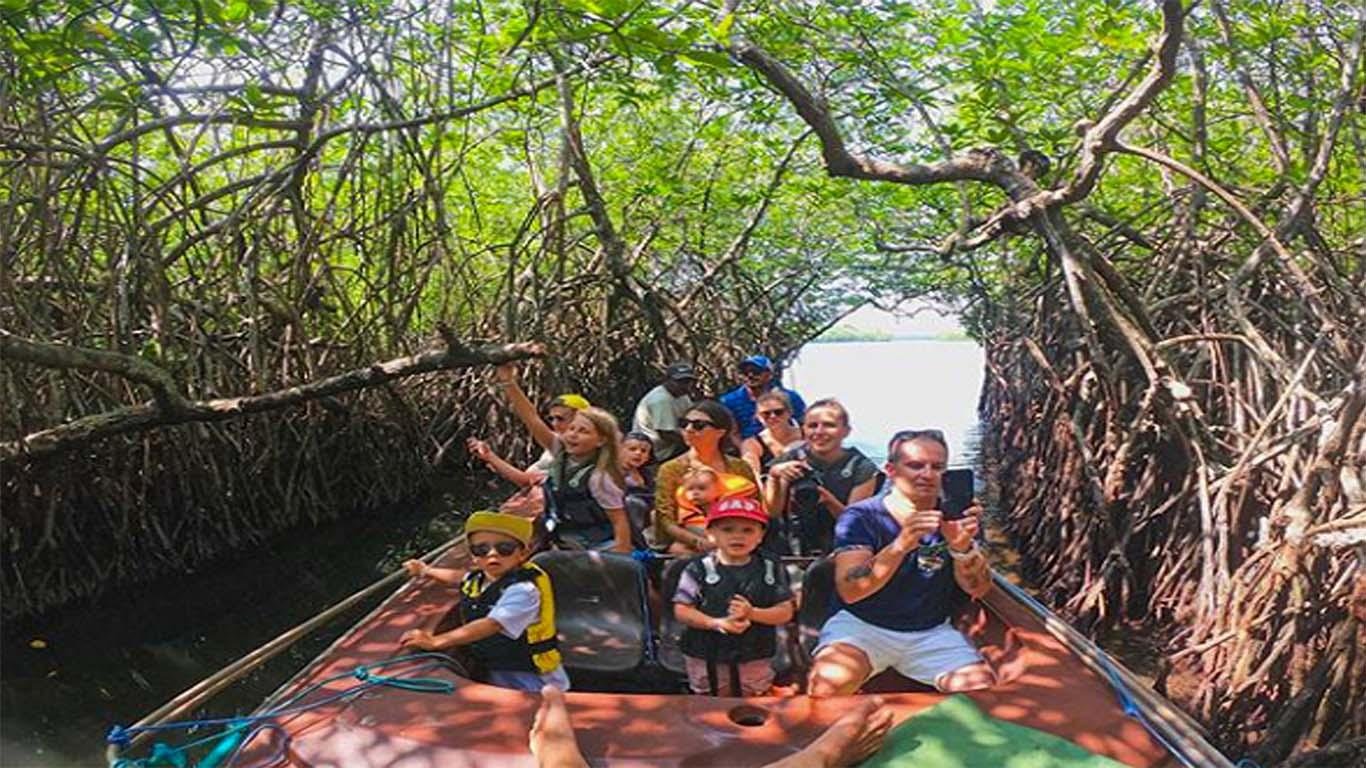 Galle & Bentota Coastal Day Tour from the South Coast