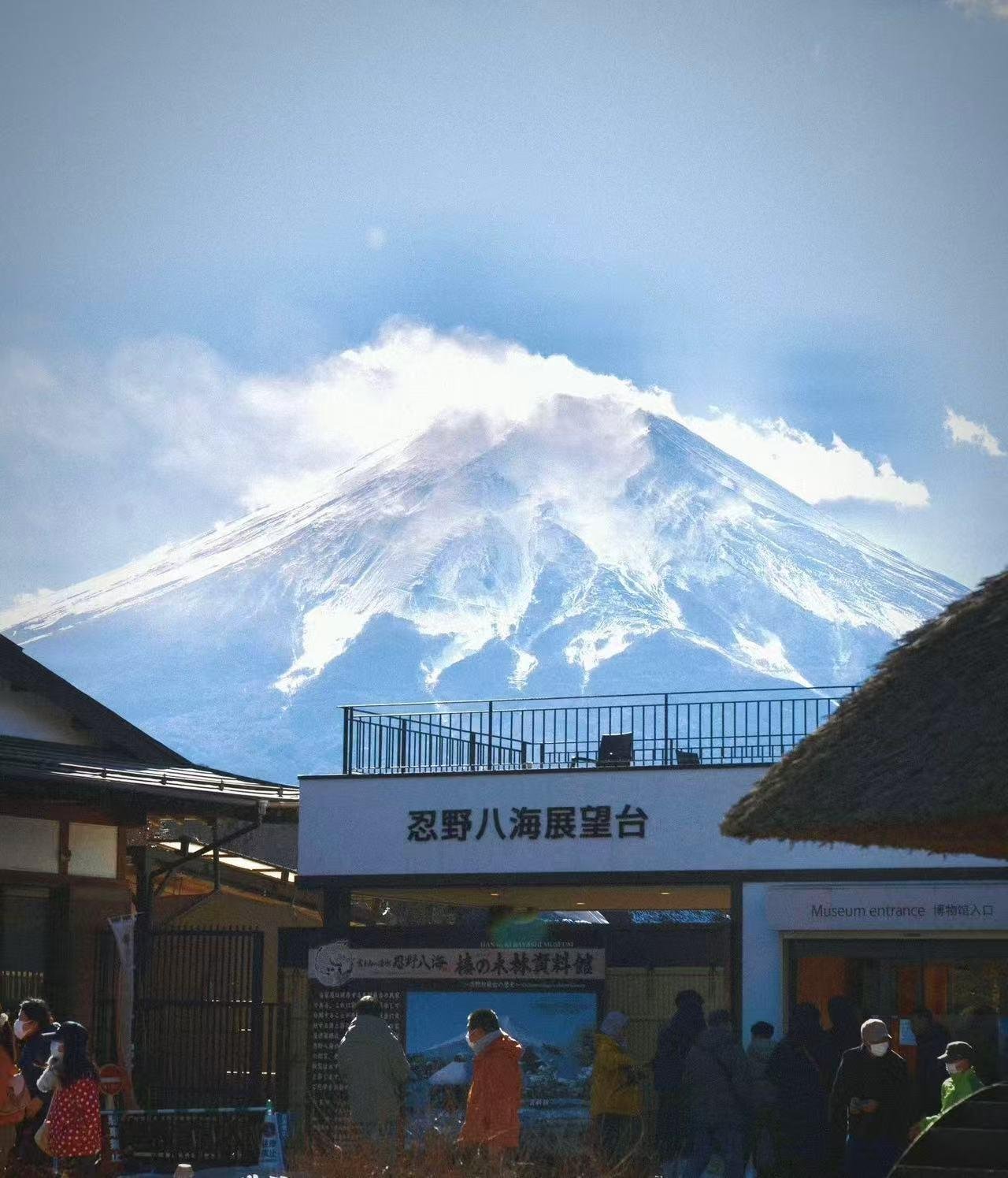 Mount Fuji Day Trip: Scenic Parks, Springs, and Photo Hotspots