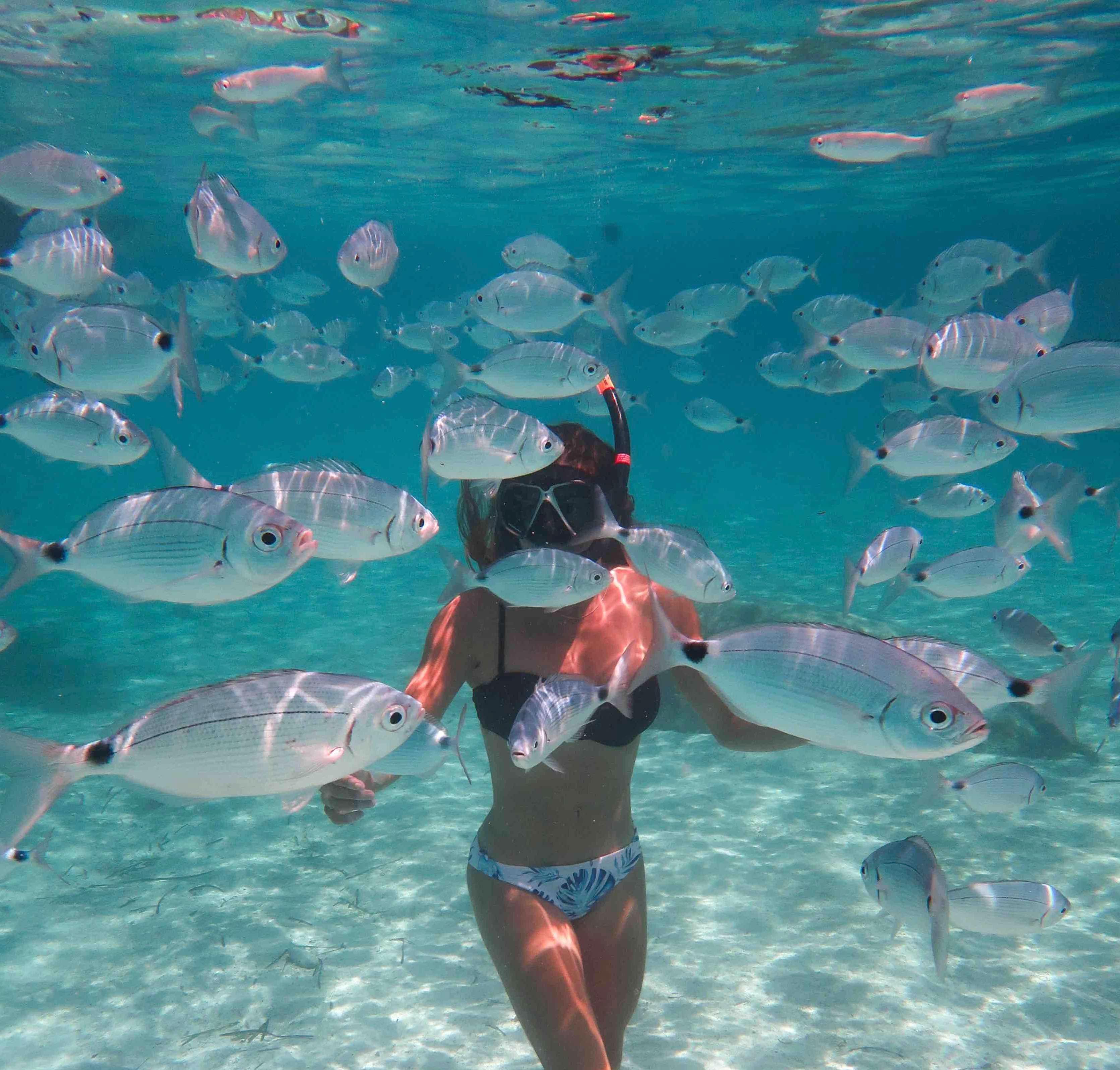 Calvi Snorkeling Boat Trip Along Marine Reserve