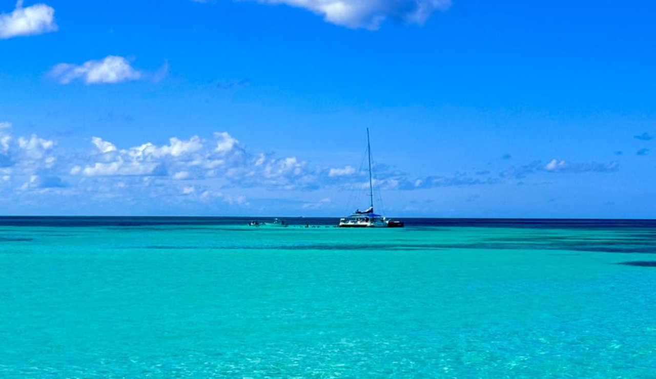 Saona Island Catamaran & Natural Pool Day Trip