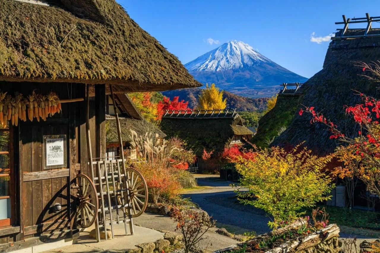 Mt Fuji day trip from Tokyo — image 55