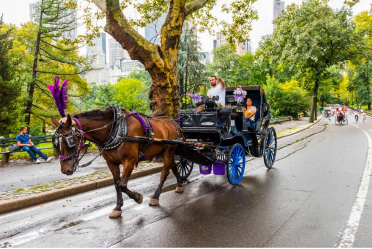 Private Central Park Horse Carriage Tour with Guide