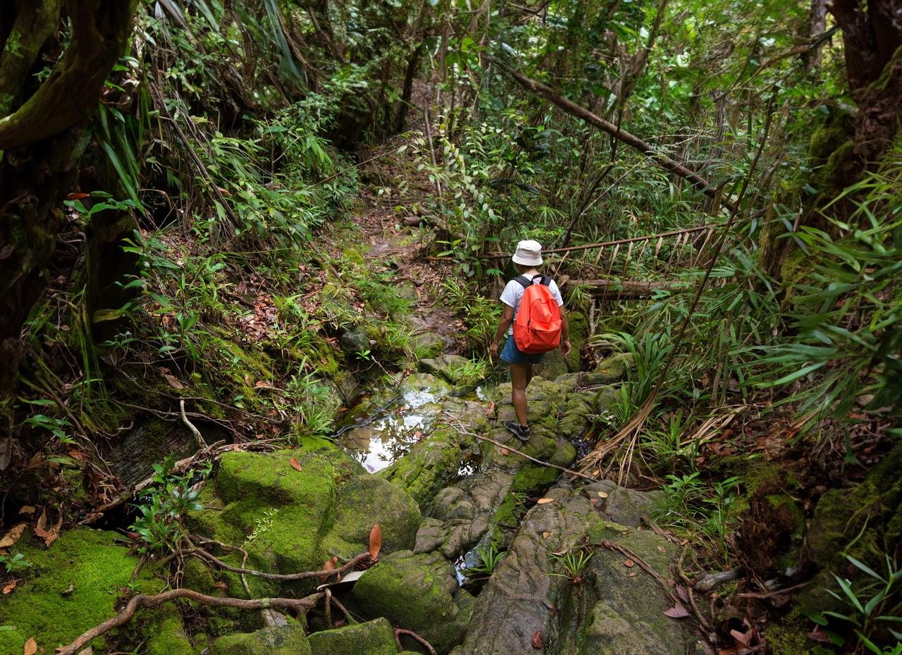 Khao Sok Jungle Hike, River Raft & View Point from Khao Lak