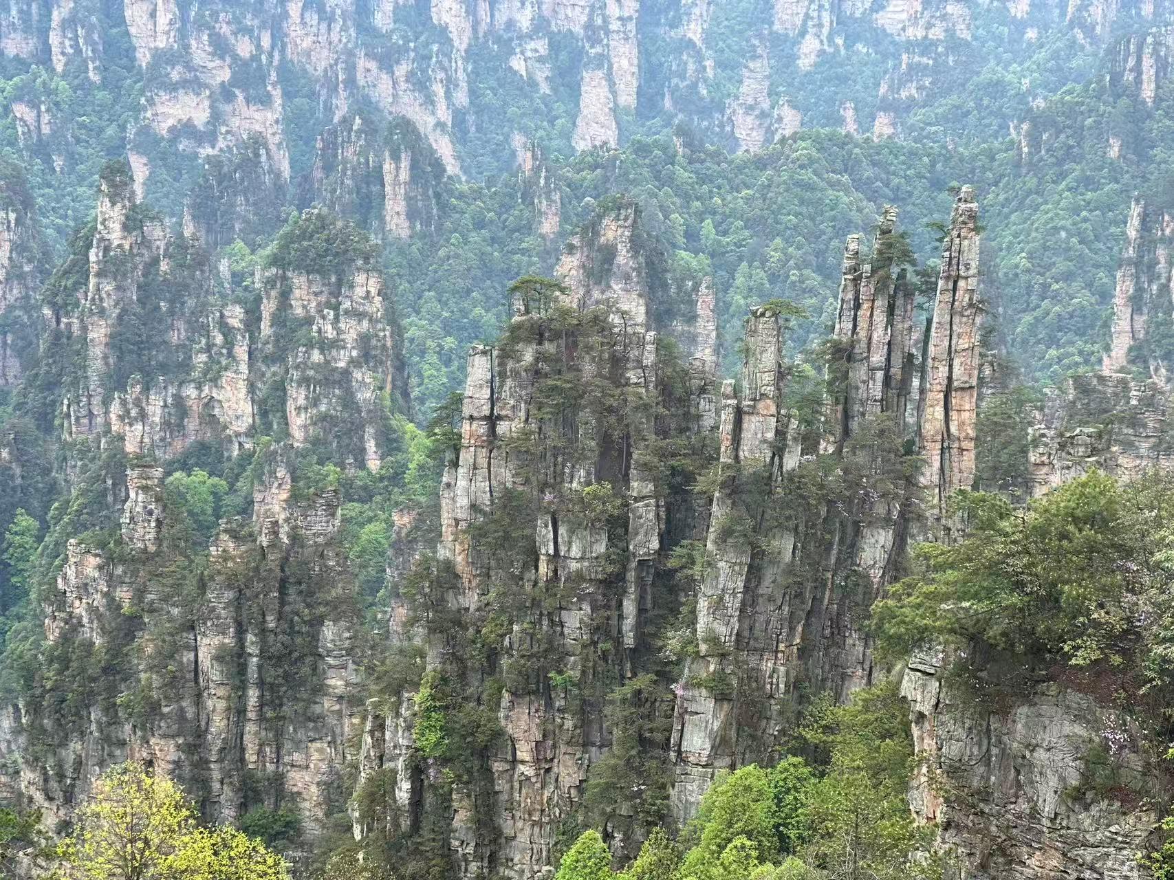 Zhangjiajie National Forest Park: Multi-Day Entry Ticket