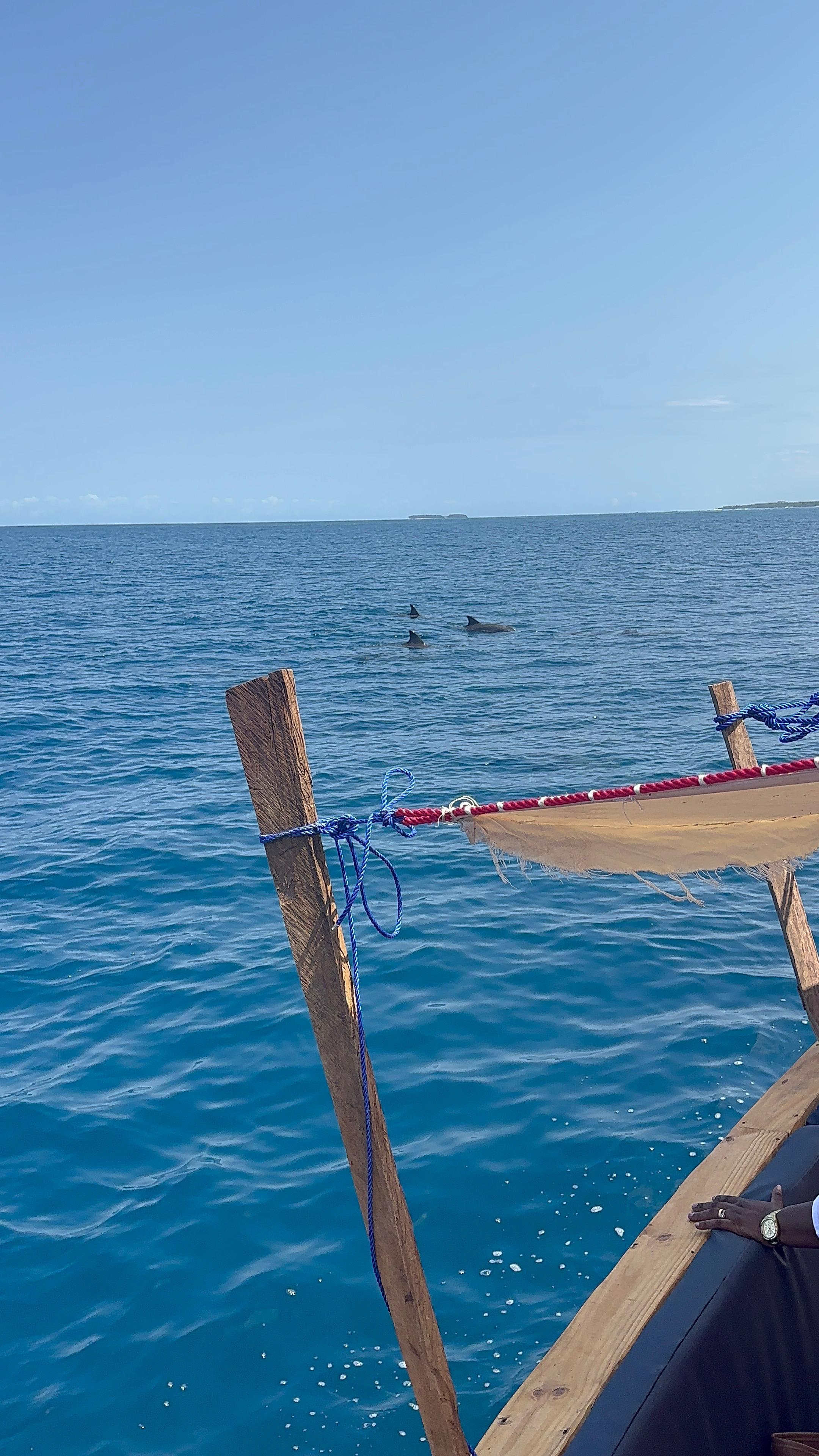 Mnemba Island Dolphin & Snorkel Boat Trip from Matemwe