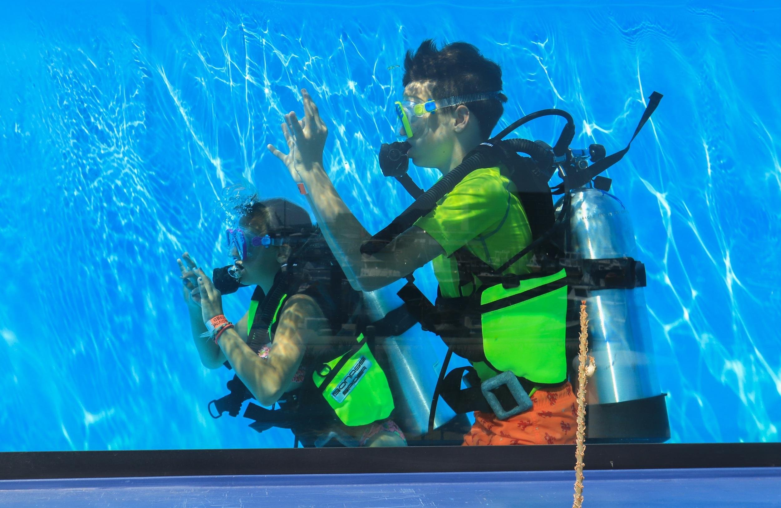Los Cabos Introductory Scuba Diving Adventure in the Sea of Cortez