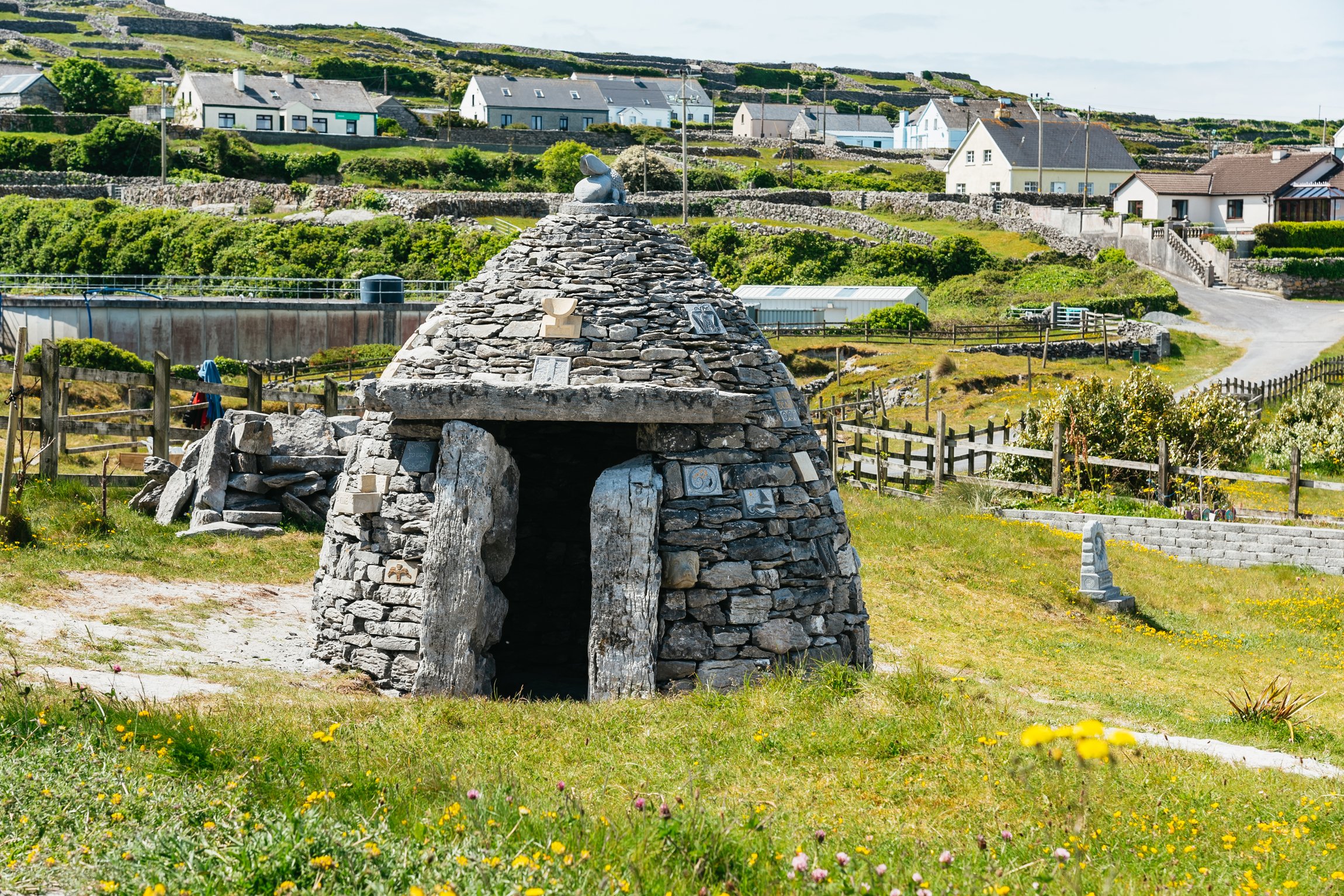 Aran Islands & Cliffs of Moher Full-Day Tour from Galway