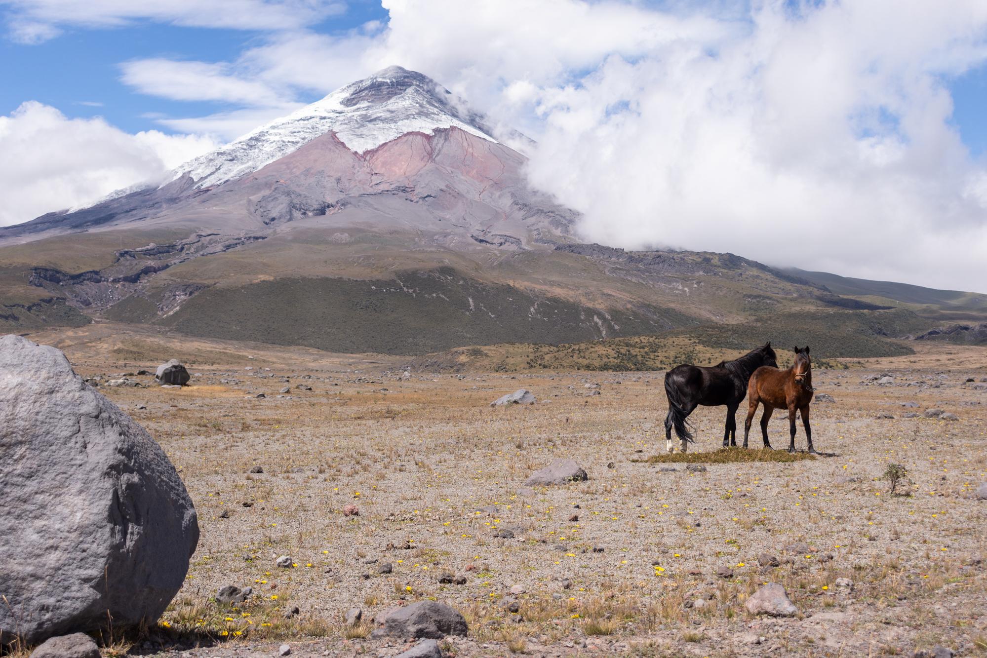 Cotopaxi & Quilotoa Full-Day Tour from Quito