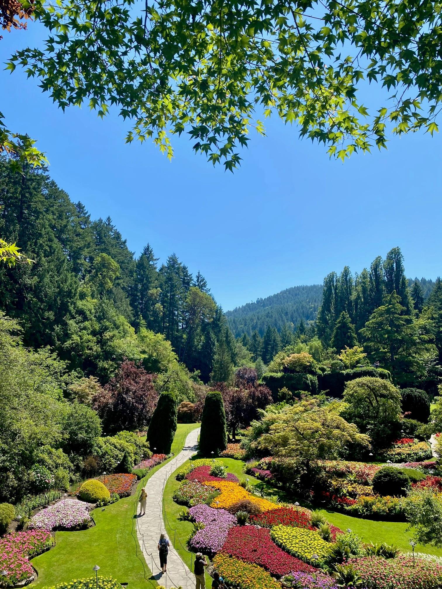 Butchart Gardens — the Sunken Garden, Rose Garden and Japanese Garden — image 5