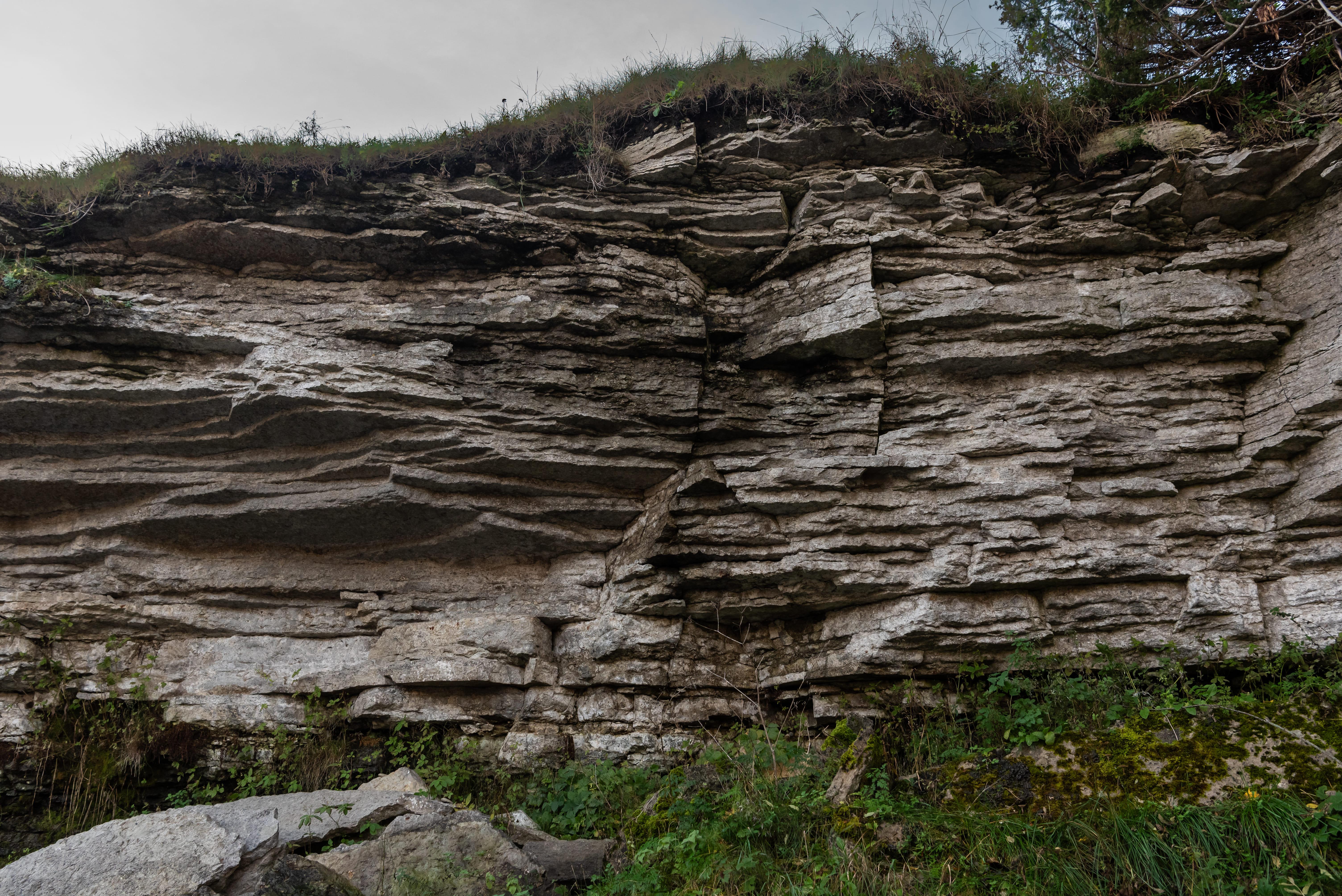 Lahemaa National Park full-day tour from Tallinn — image 18