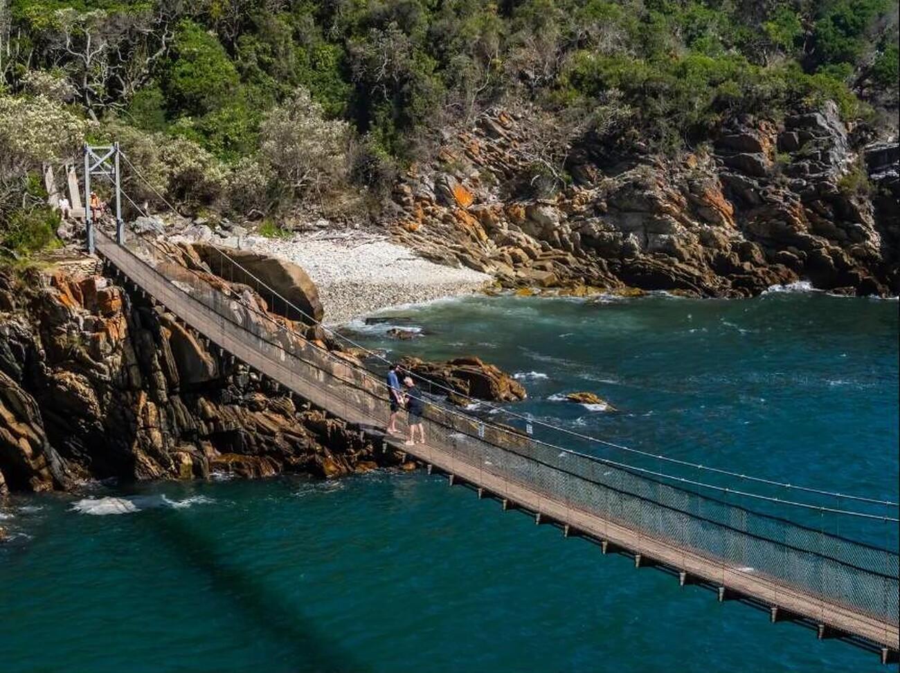 Tsitsikamma Adventure: Zipline, Skywalk & Suspension Bridge