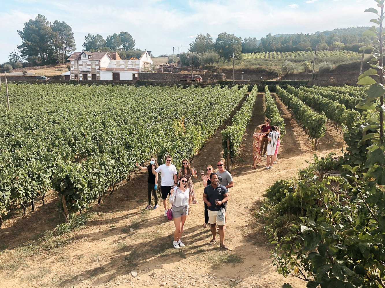 Douro Valley Premium Wine Tour with Cruise & Lunch from Porto