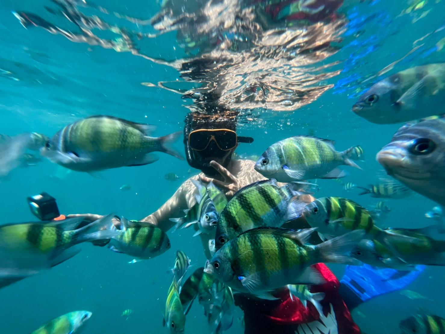 Phuket Phi Phi, Maya, and Khai Island Luxury Speedboat Tour