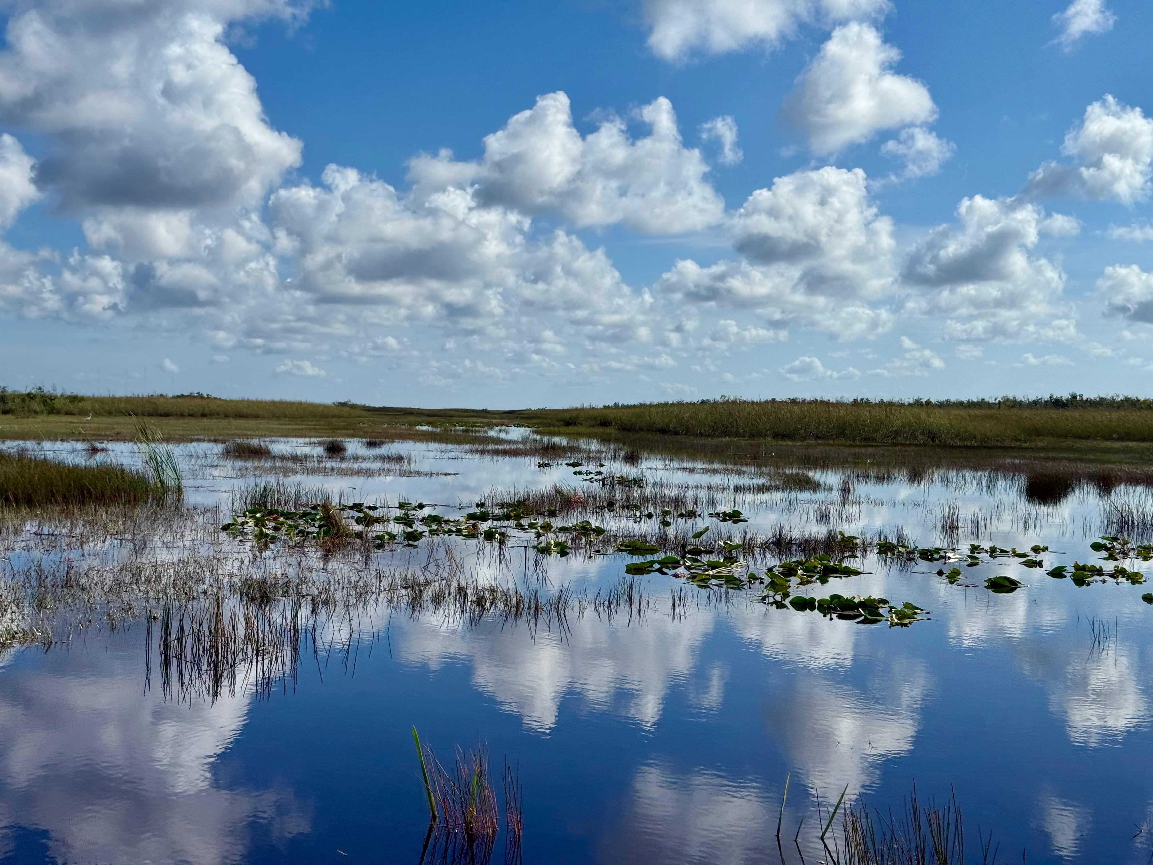 Everglades Airboat Eco Tour: Small group & 2 Private Islands