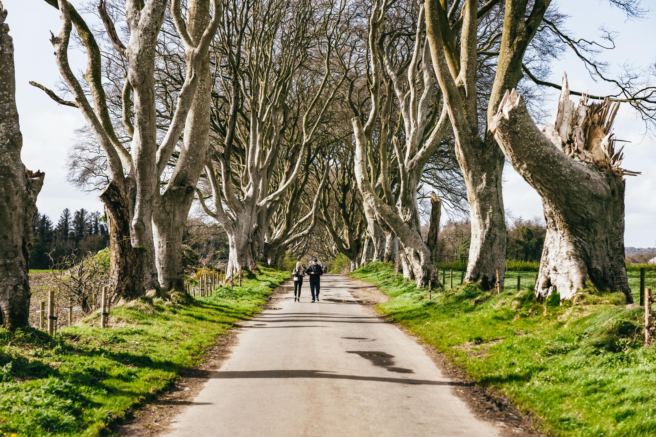 Giant's Causeway Tour from Belfast — image 2