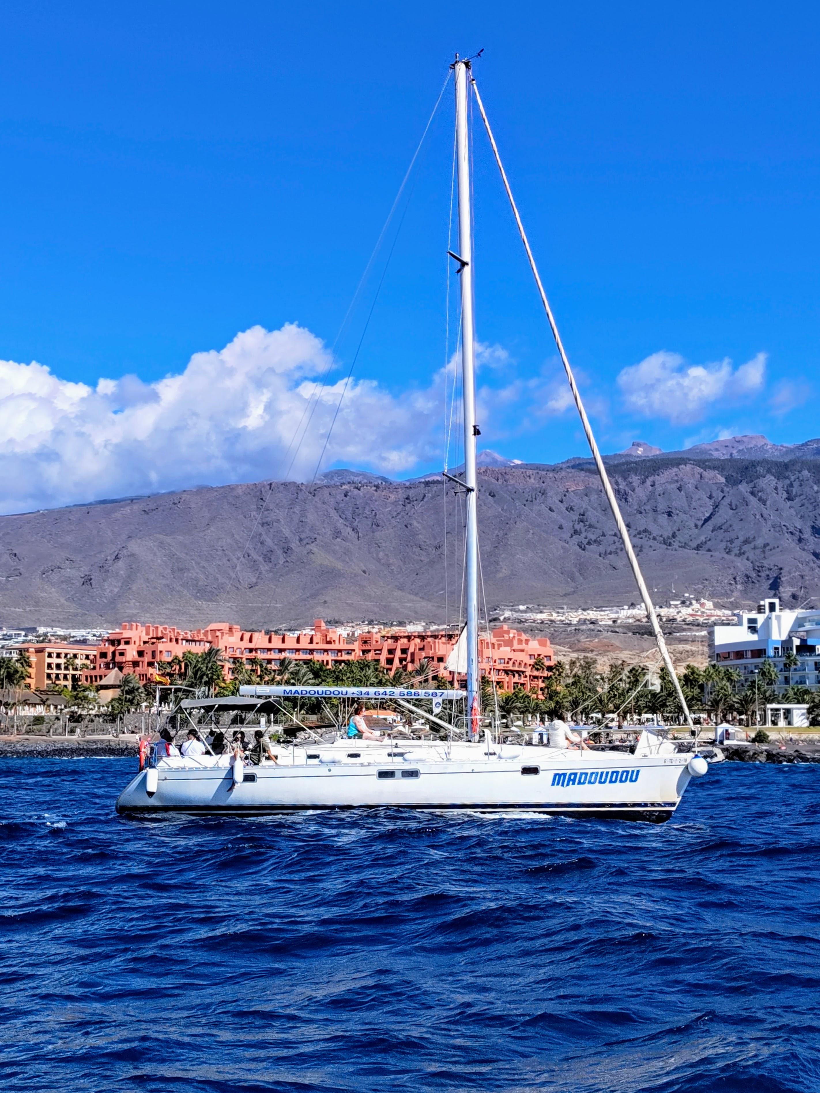 Private Whale Watching Sailboat Adventure