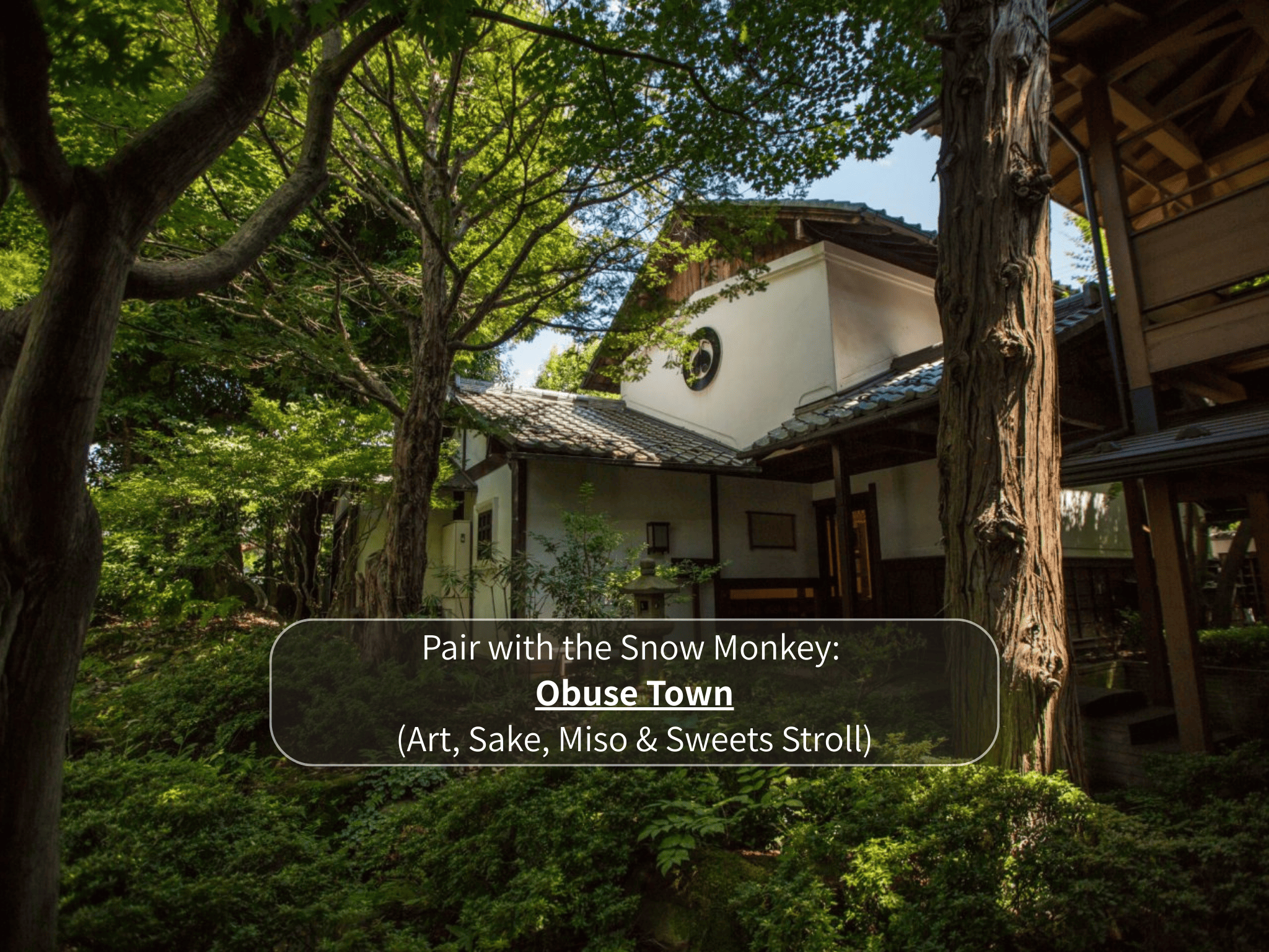 Nagano Snow Monkeys & Hidden Gems Private Day Tour