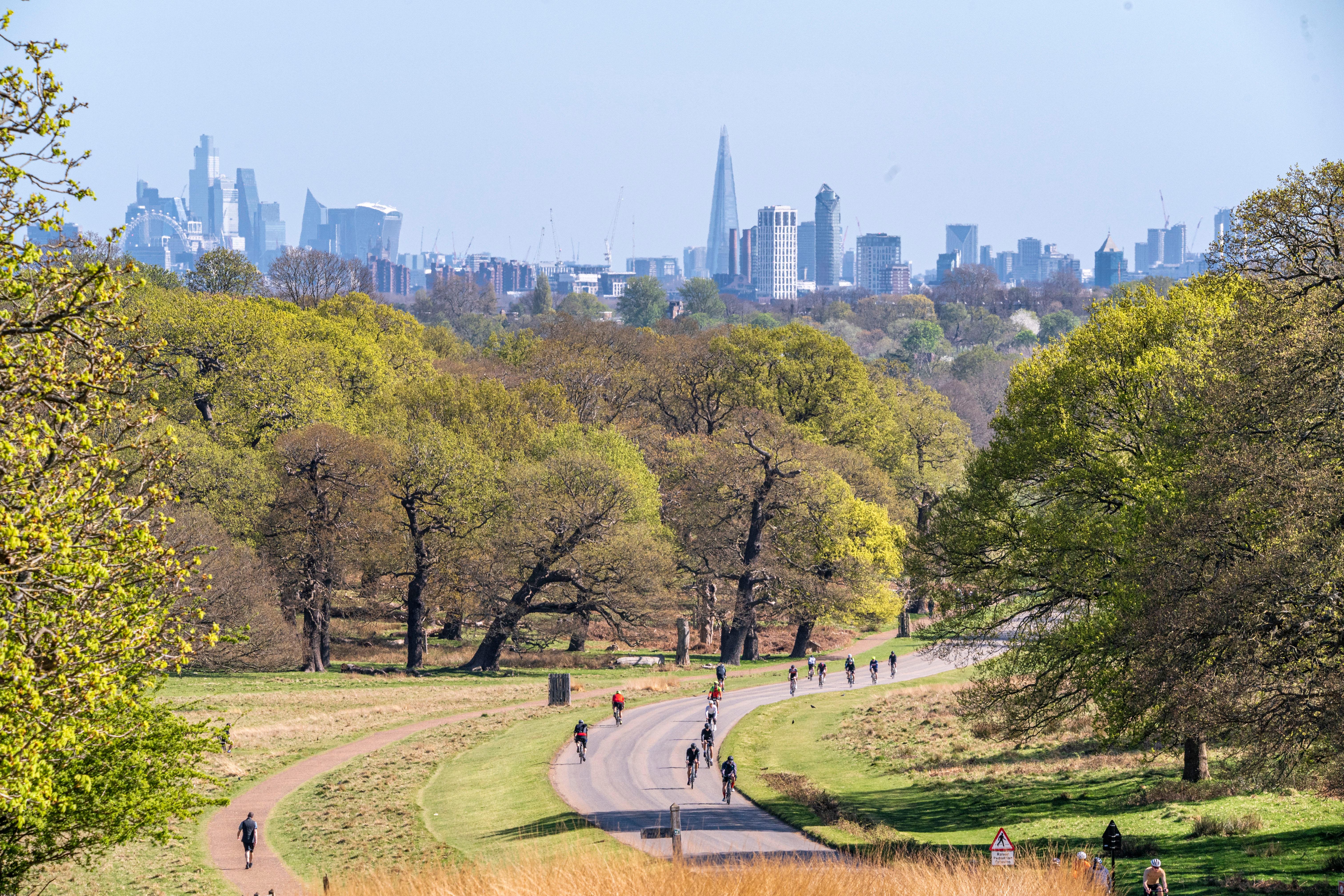 London: Richmond Park Nature Photography Workshop