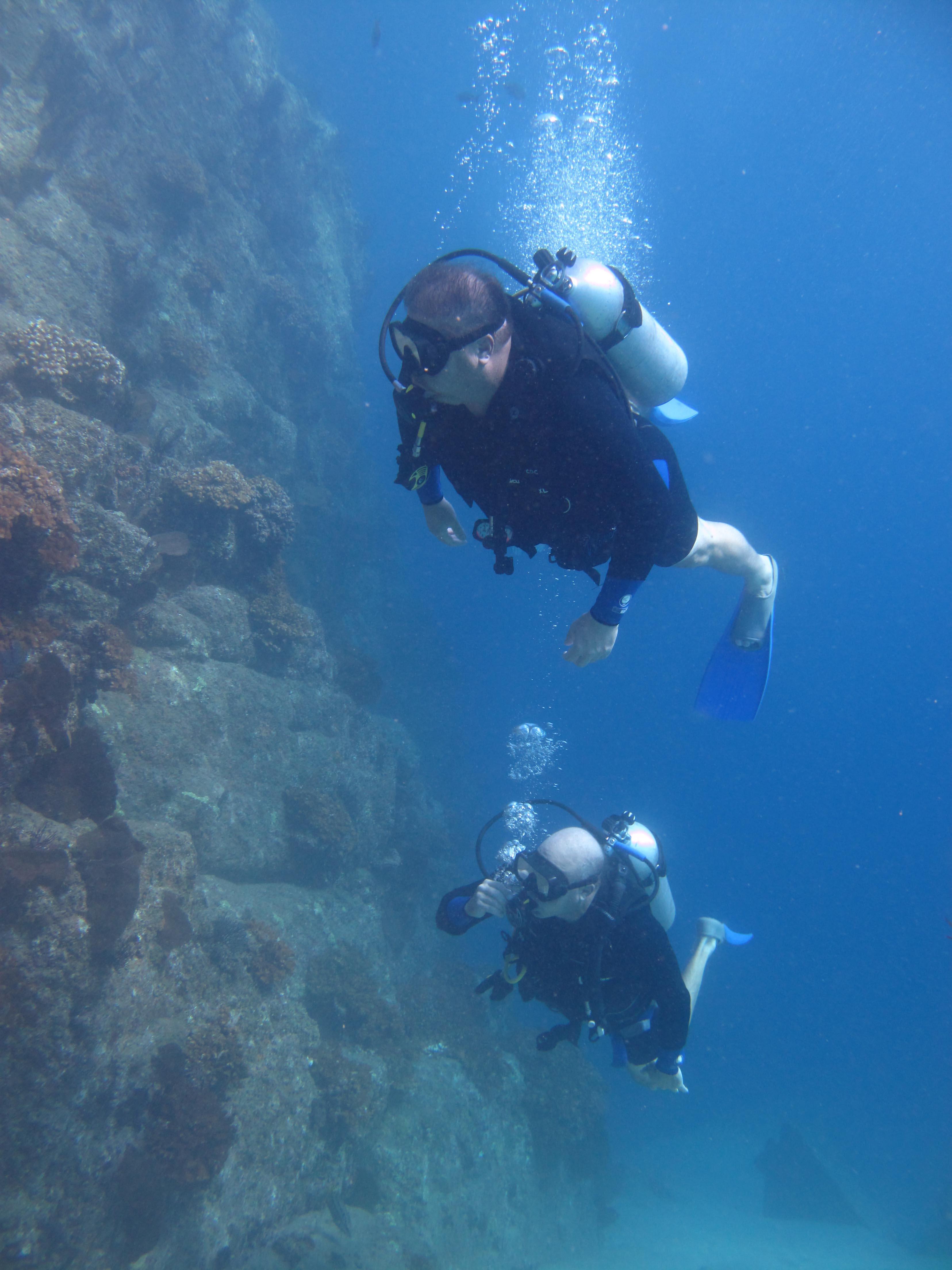 Cabo San Lucas Marine Park: Two-Tank Scuba Diving Adventure