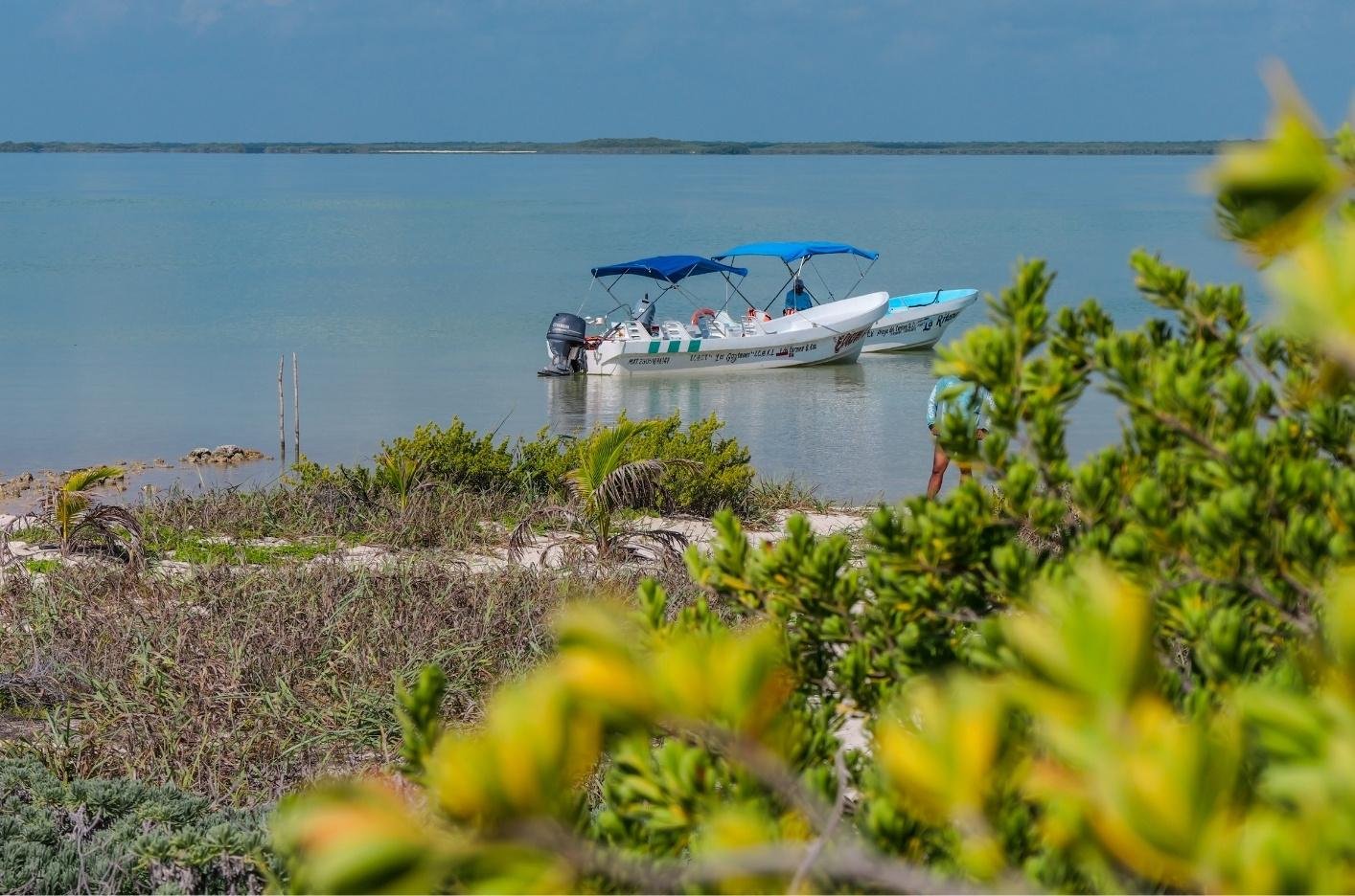 Sian Ka'an Reserve: Dolphins, Turtles & Snorkeling Day Trip