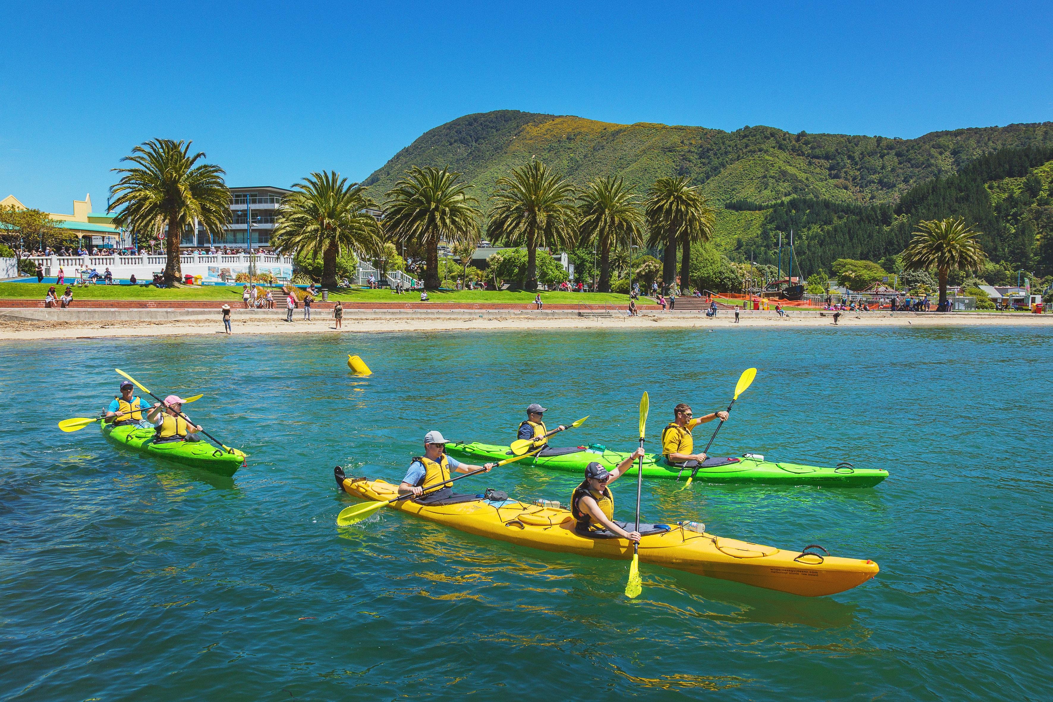 Full-Day Guided Sea Kayaking Adventure in Queen Charlotte Sound