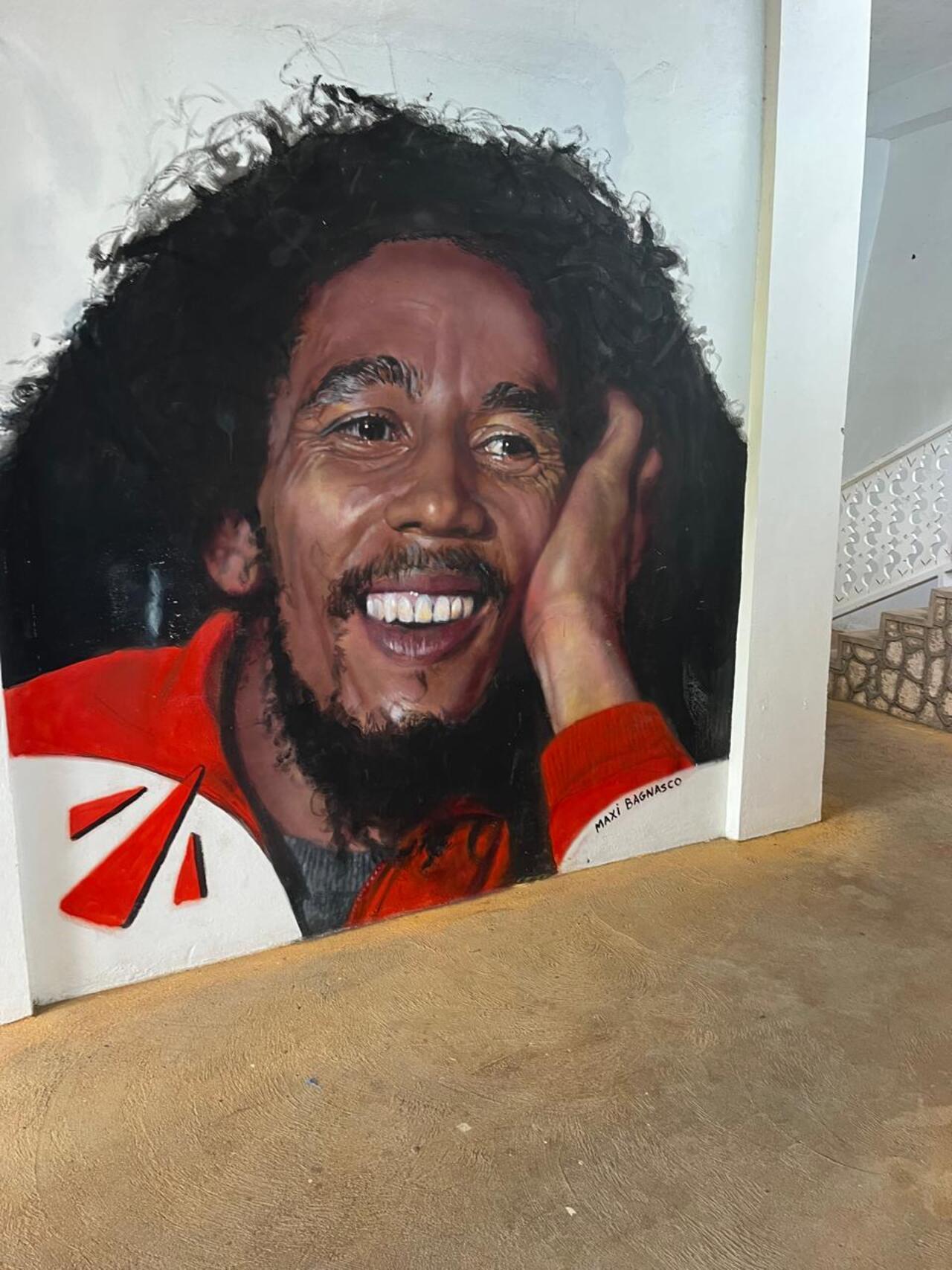 Nine Mile: Bob Marley Birthplace and Reggae Heritage Tour