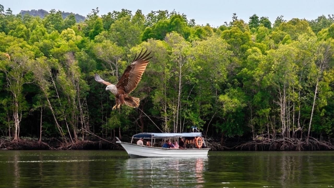 Kilim Geoforest Park Mangrove Cruise with Eagle Watching