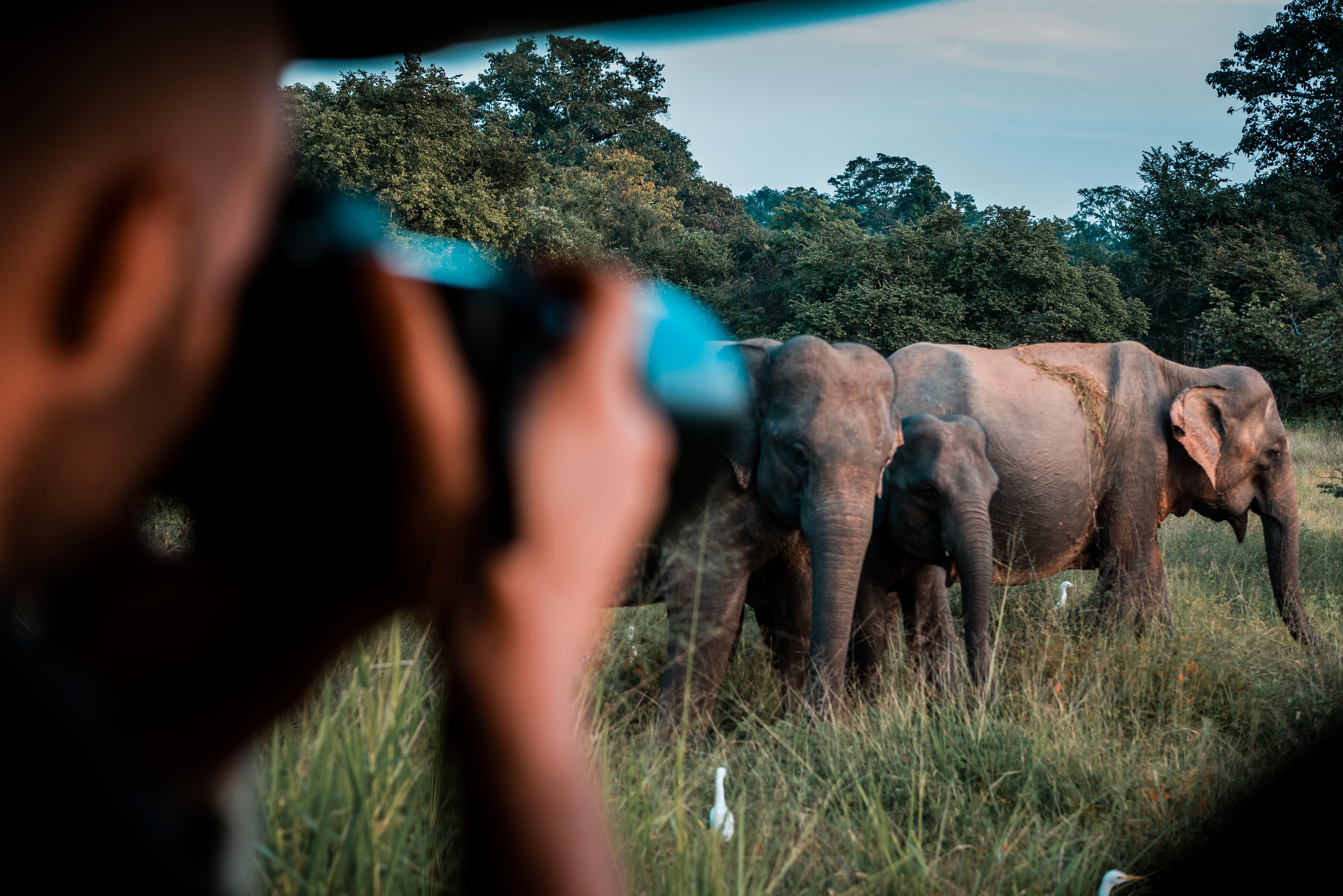 3-Day Sri Lanka Highlights: Sigiriya, Kandy & Ella Train Journey