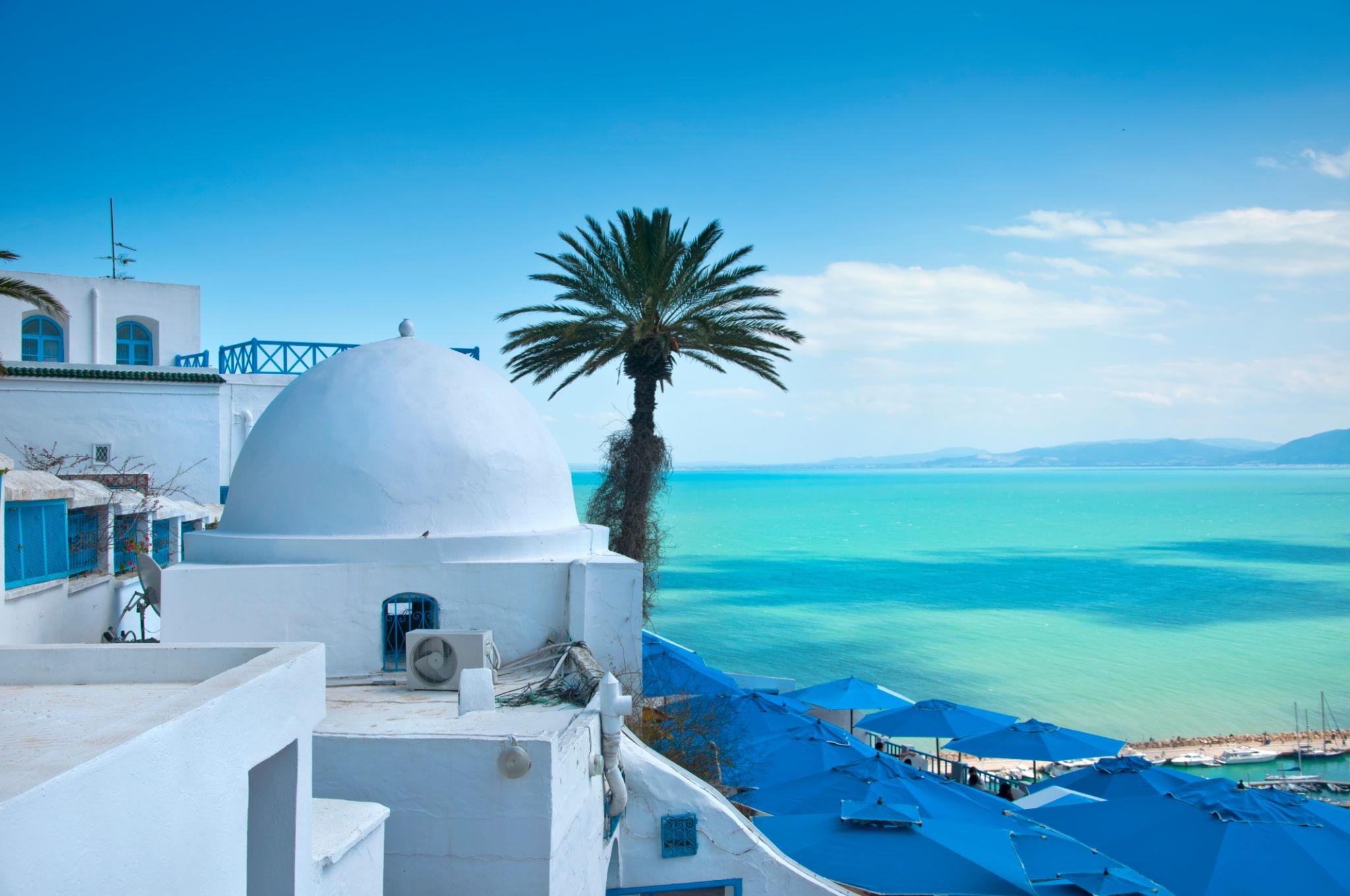 Sidi Bou Said Half-Day Trip from Hammamet