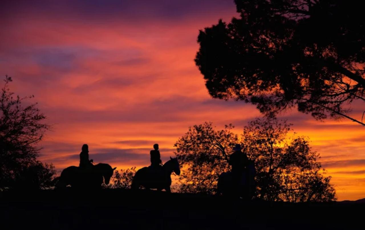 Hollywood Hills Horseback Adventure with Guide